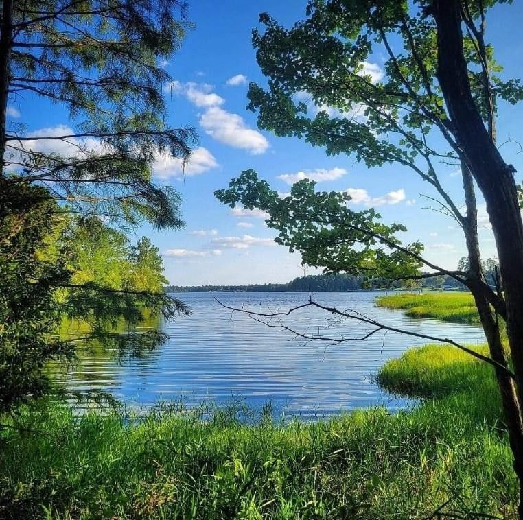 0.4 Acres, 0 RIDGEVIEW CT, Naylor, GA 31641 Land and Farm