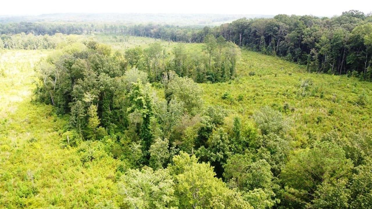 195 Acres, 000 County Road 122, Tishomingo, MS 38873 Land and Farm