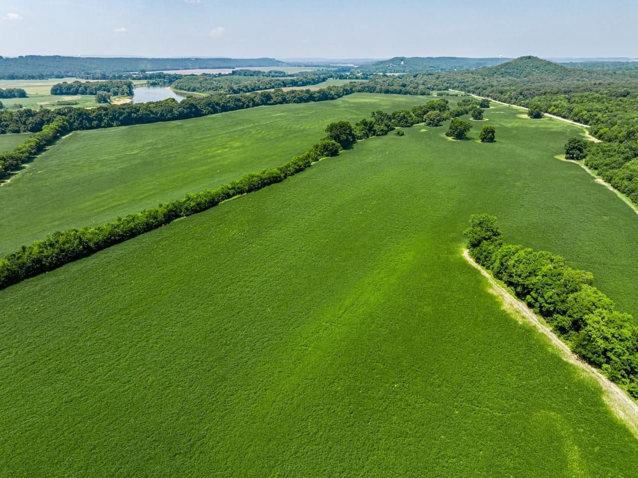 521 Acres, Gap Road, Batesville, AR 72501 Land and Farm