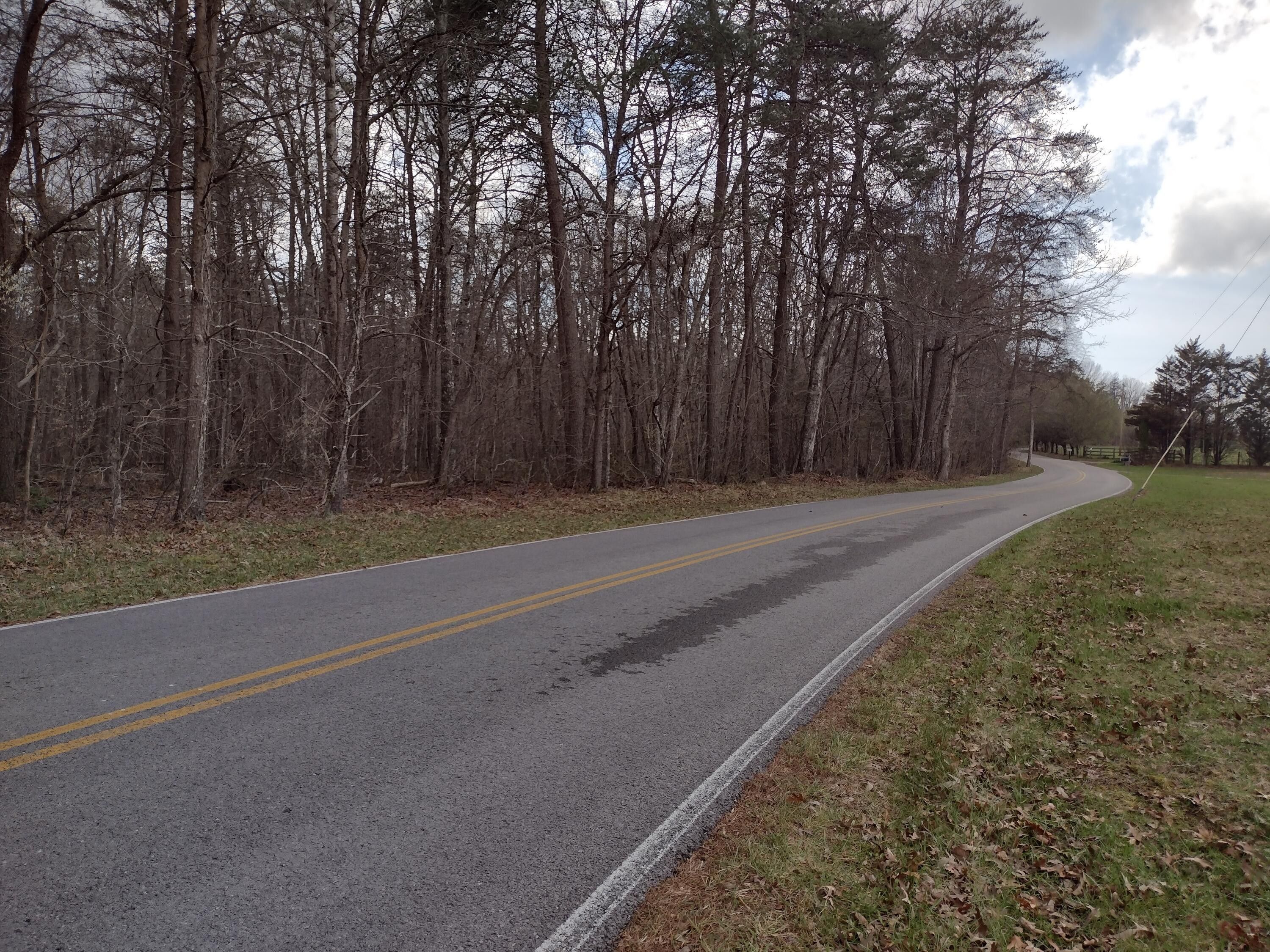 65.98 Acres, 1036 Goforth Rd, Spencer, TN 38585 Land and Farm