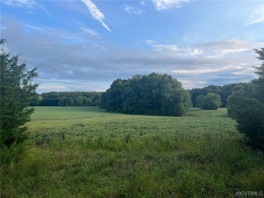 12.6 Acres, 0 Dixie Belle Lane, Montpelier, VA 23192 Land and Farm