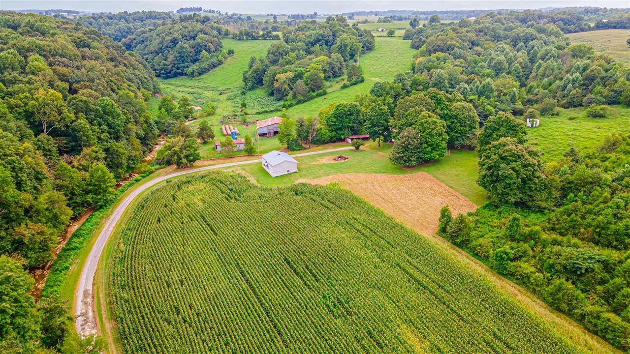 99.81 Acres, 471 Geralds Road, Glasgow, KY 42141 Land and Farm