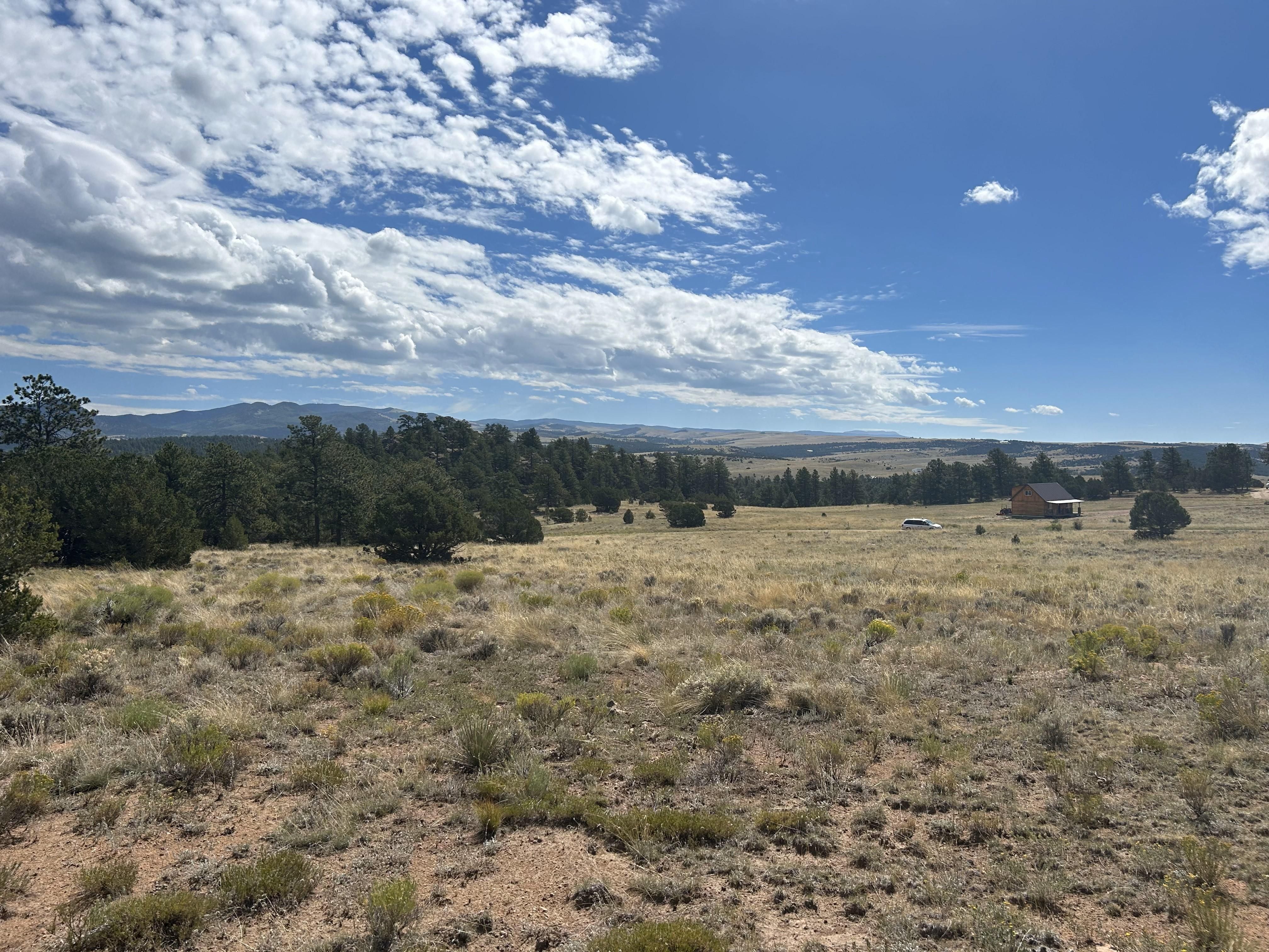 6 Acres, 343 Shawnee Trail, Westcliffe, CO 81252 Land and Farm