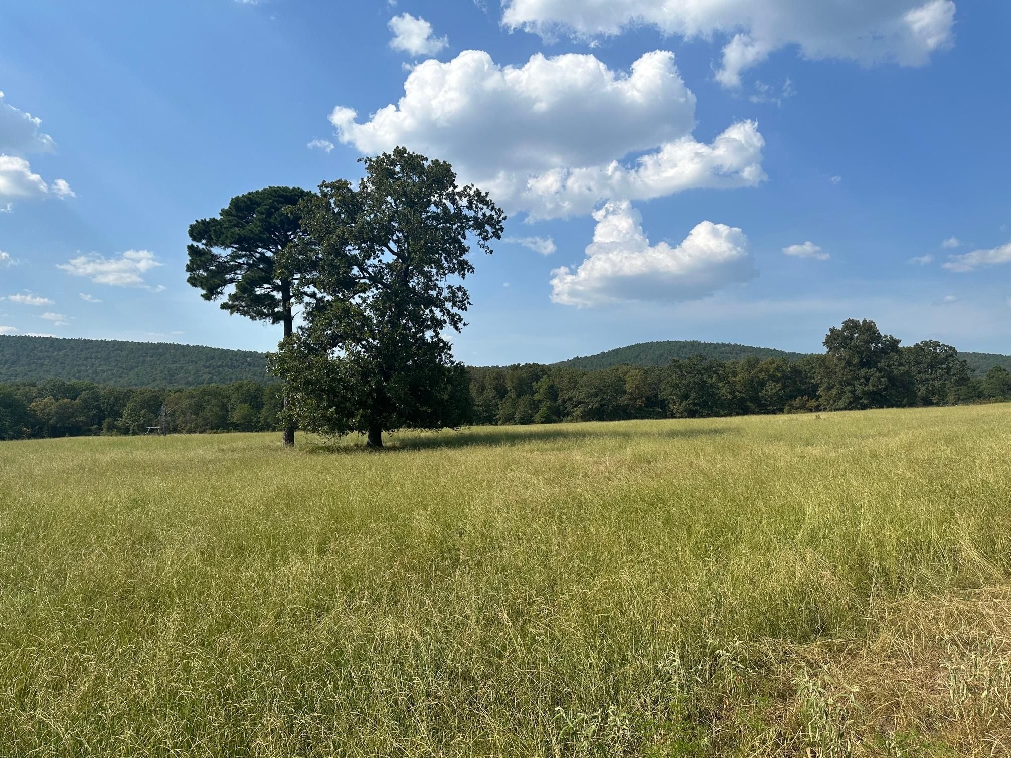 70 Acres, Burris Valley Road, Pittsburg, OK 74560 Land and Farm