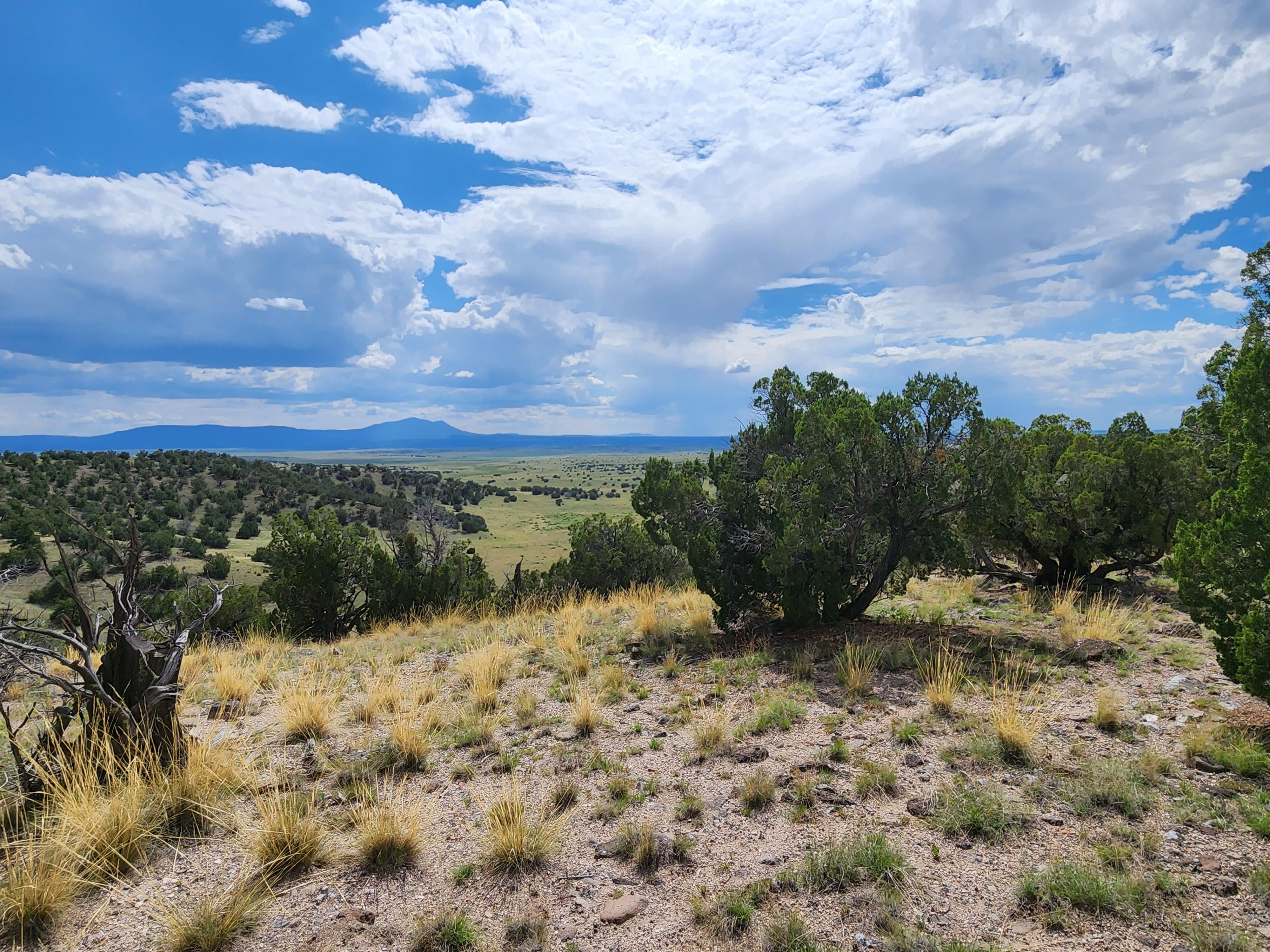 12 Filly Circle, Quemado, NM 87829 Land and Farm