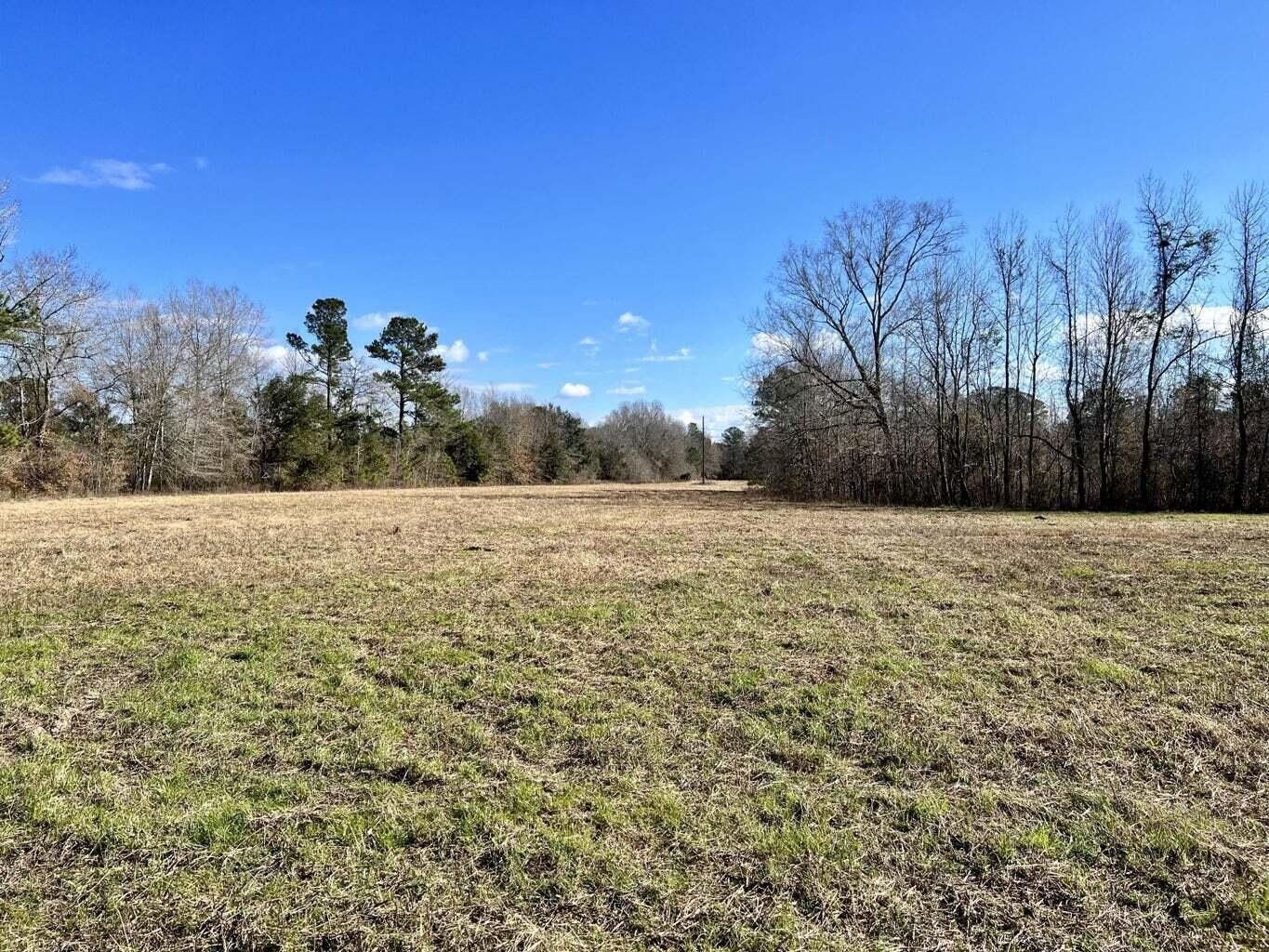 7.47 Acres, 643 Dennis Ridge Road, Bonneau, SC 29431 Land and Farm