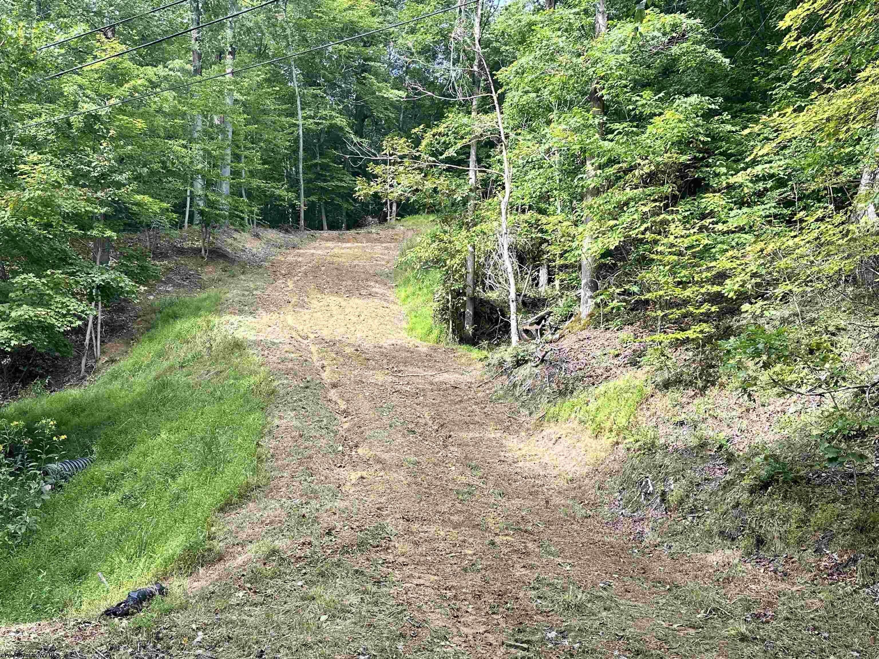 21.56 Acres, 00 Pine Grove Road, Fairmont, WV 26554 Land and Farm