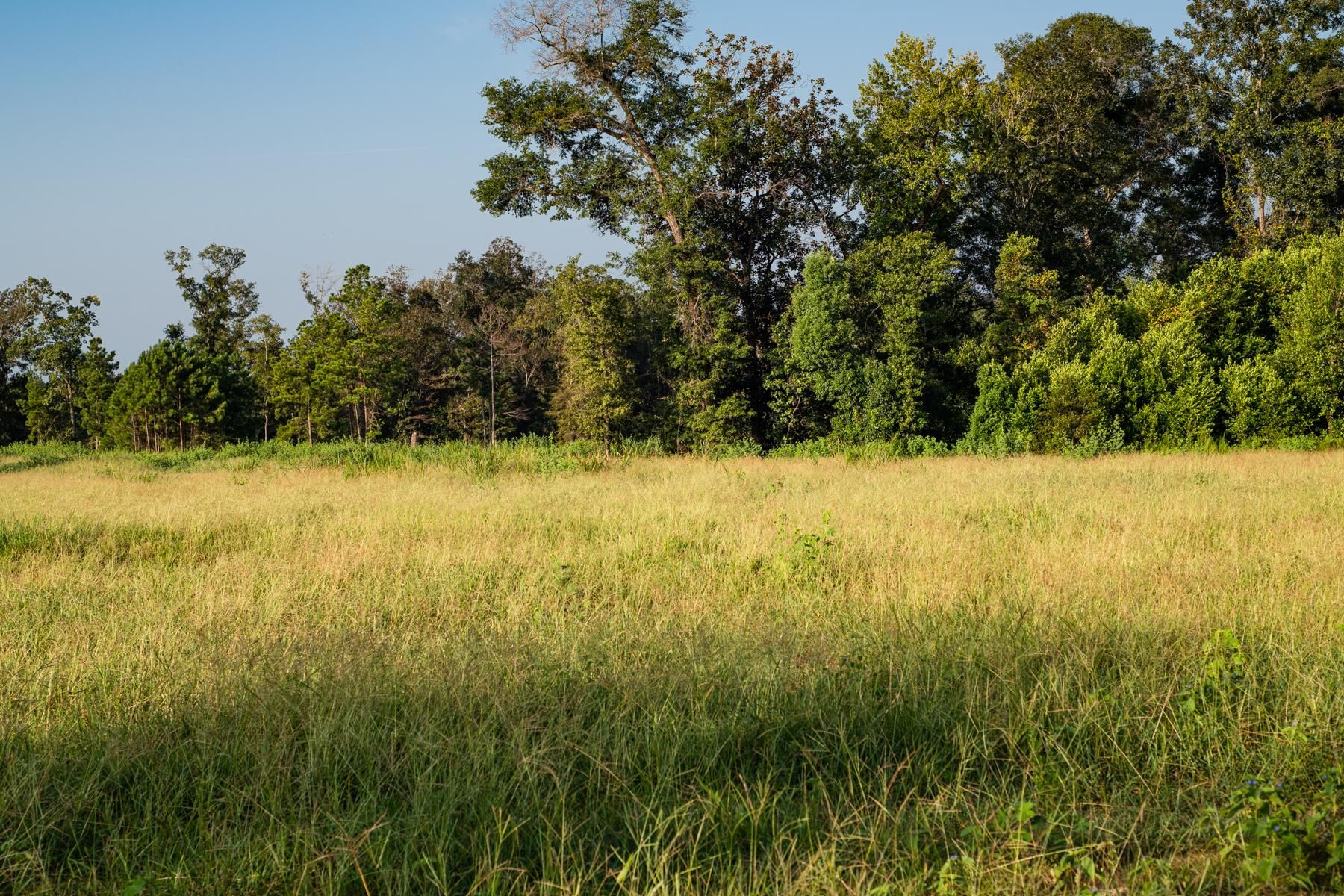 130 Acres, Clay Street, Attapulgus, GA 39815 Land and Farm