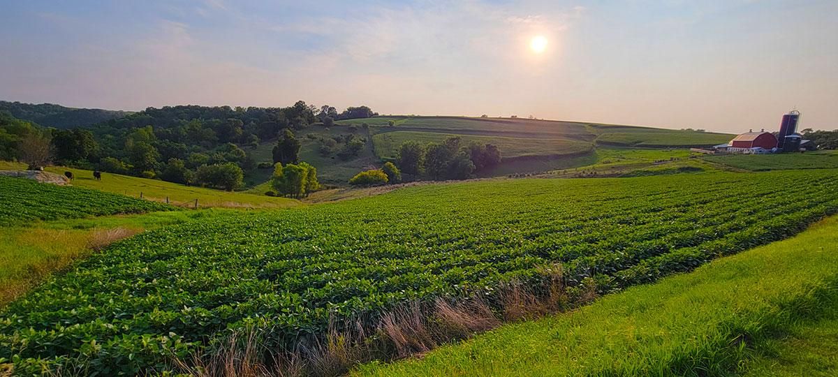 N814 Kreibich Road, Coon Valley, WI 54623 Land and Farm