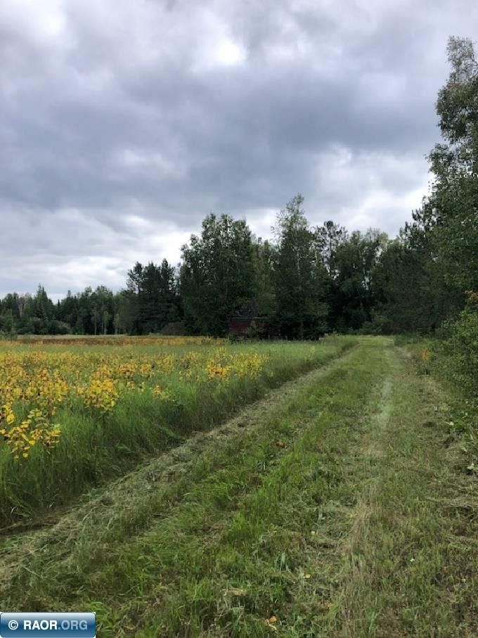 60 Acres, TBD UT 61, Big Falls, MN 56627 Land and Farm