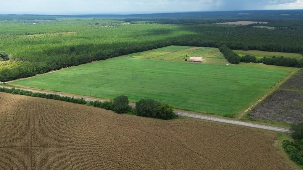 32 acres in Salley, SC, 29137 MLS B518Addy FarmAiken County32