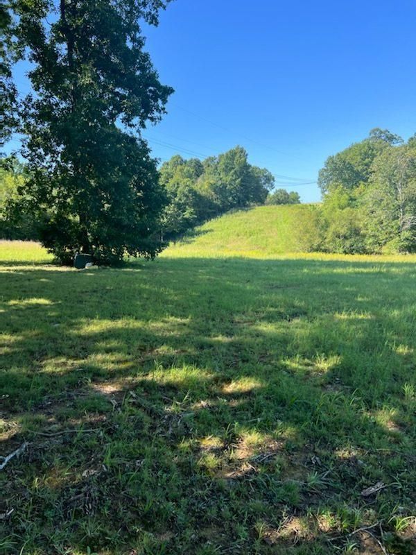 110 Acres, 11970 Old Fruit Hill Rd, Crofton, KY 42217 Land and Farm