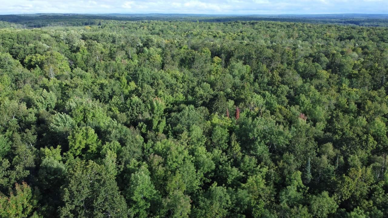 20 Acres, West Eckel Lane, Exeland, WI 54835 Land and Farm