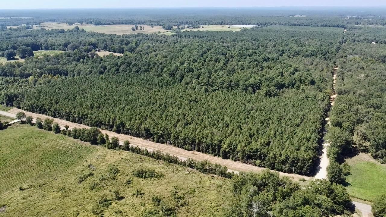 0000 Goodwater Rd, Haworth, OK 74740 MLS McCurtain 80 Land and Farm