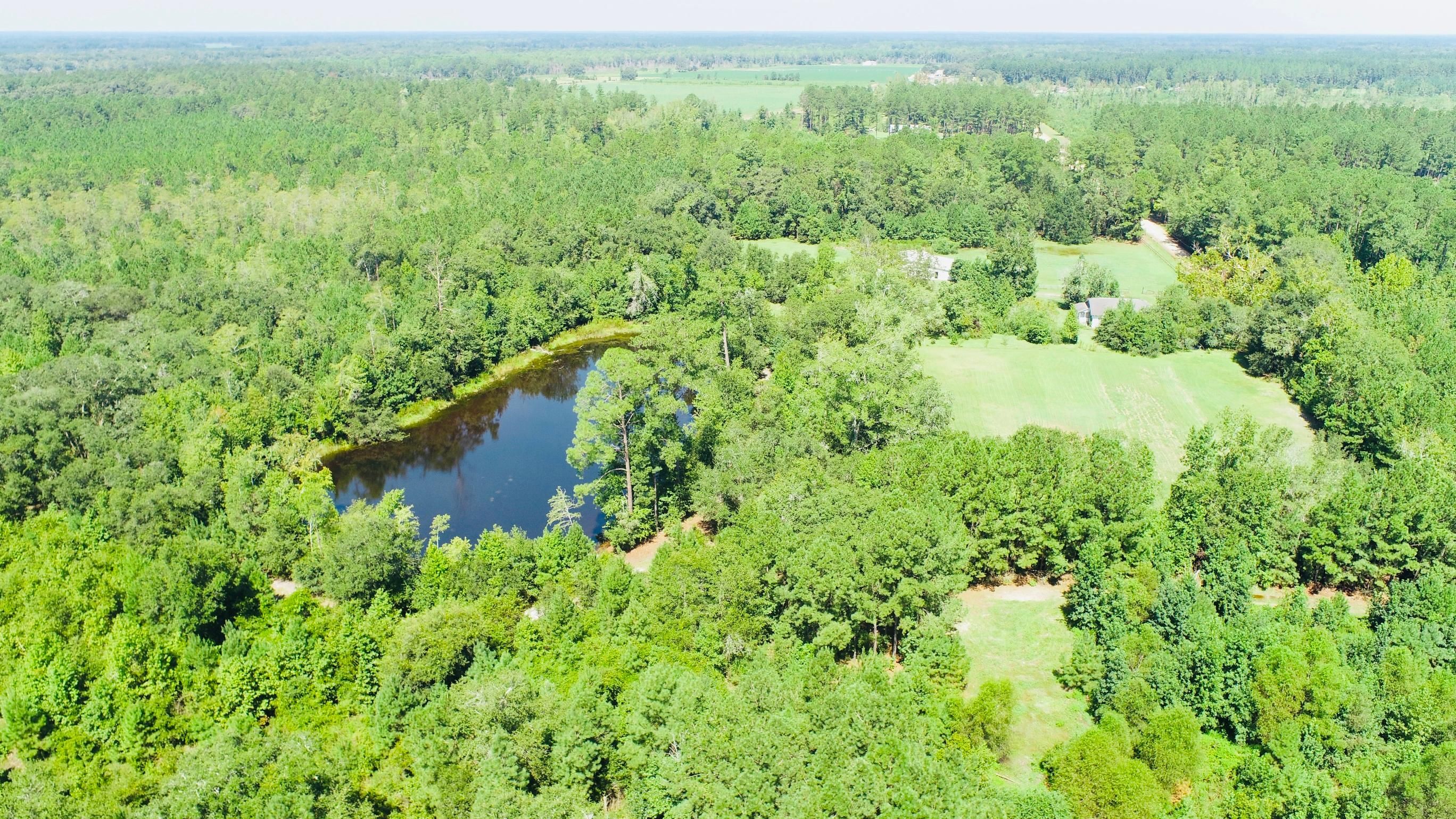 2791 Mp Martin Road, Brooklet, GA 30415 MLS Pole Branch Land and Farm
