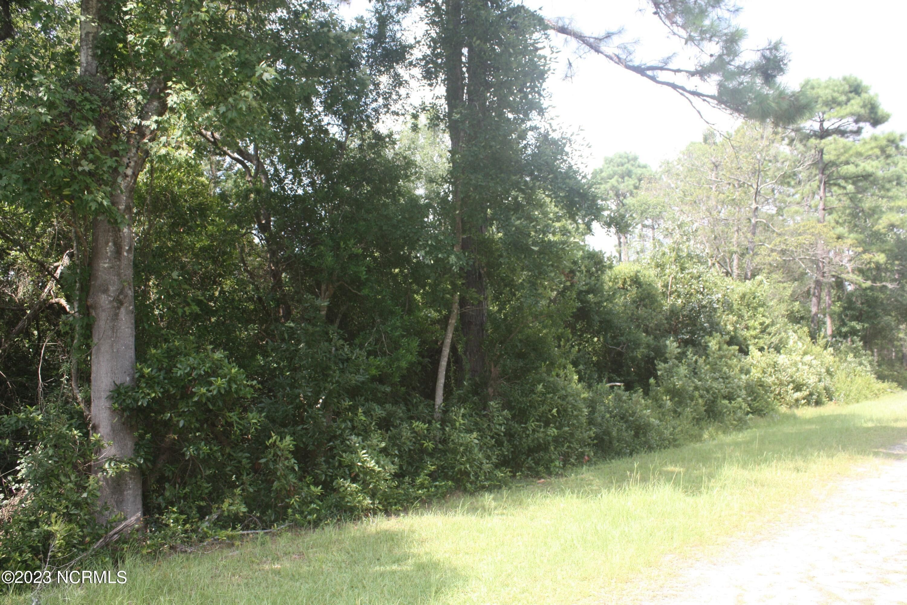 0.32 Acres, Lot 38 Pee Dee Road, Boiling Spring Lakes, NC 28461 Land