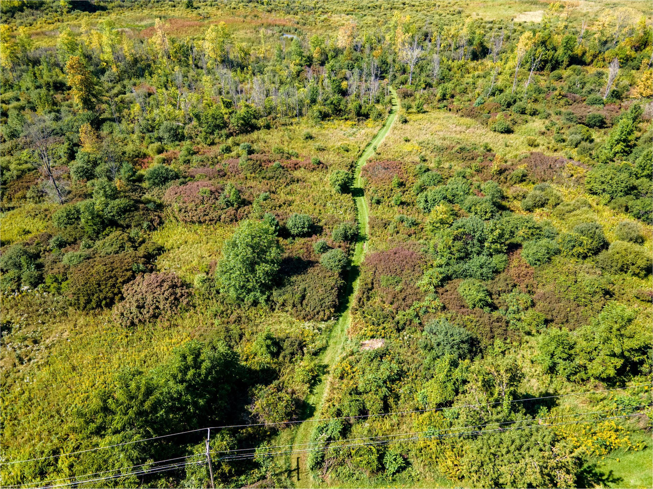 50 Acres, Lot 10 May Road, Potsdam, NY 13676 Land and Farm