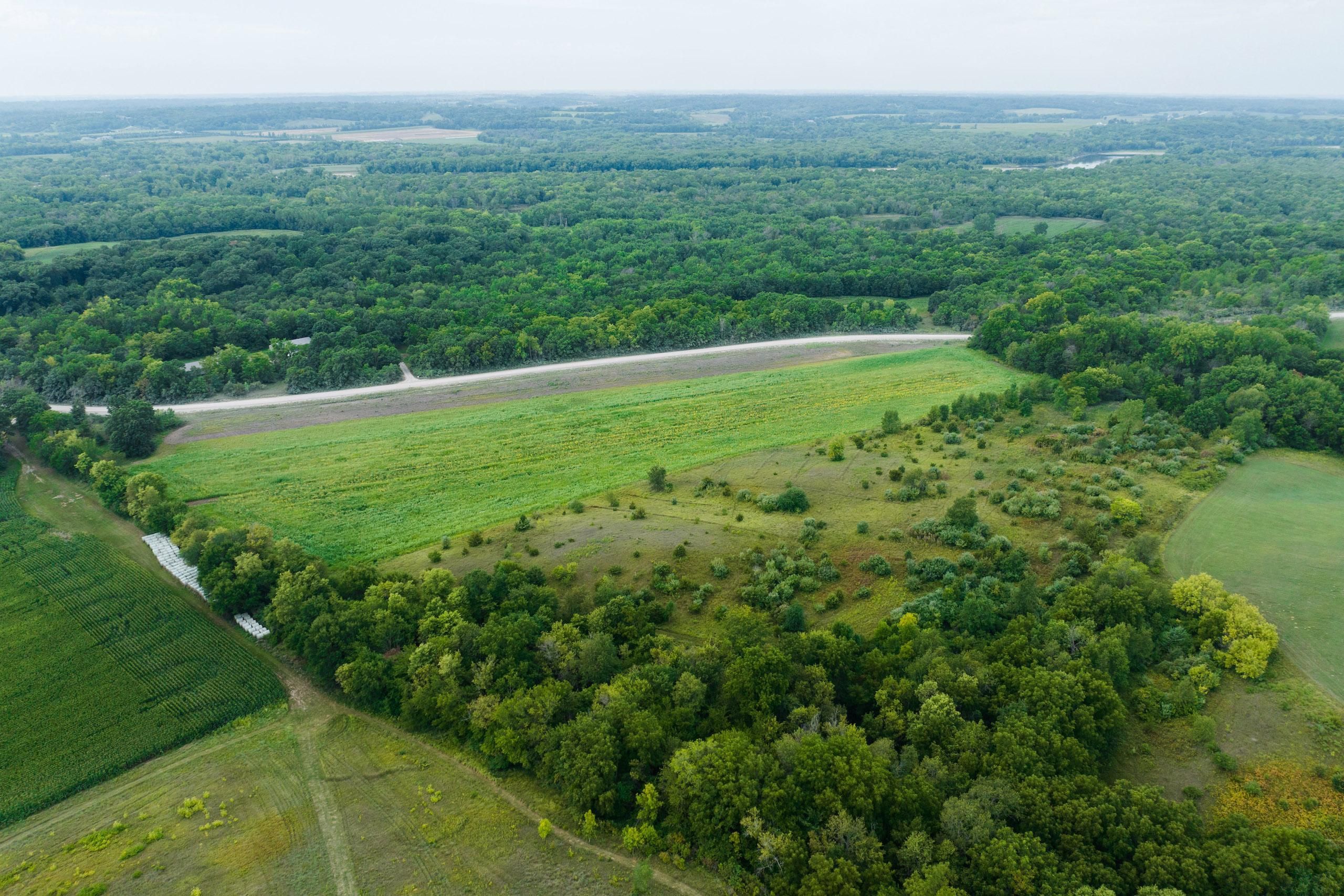 TBD Indian Boundary Road, Center Point, IA 52213 Land and Farm