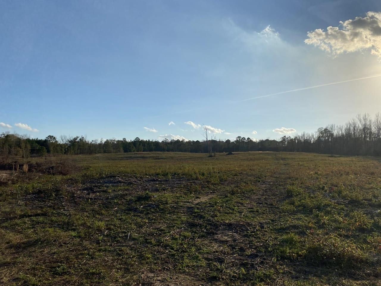 27 Acres, County Road 37, Beauregard, AL 36804 Land and Farm
