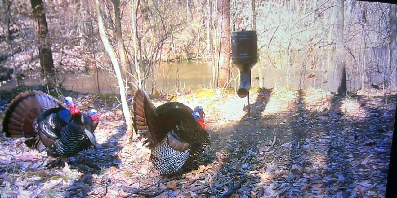 28 Acres, Whipoorwill Lake Dr, Clay City, IN 47841 Land and Farm