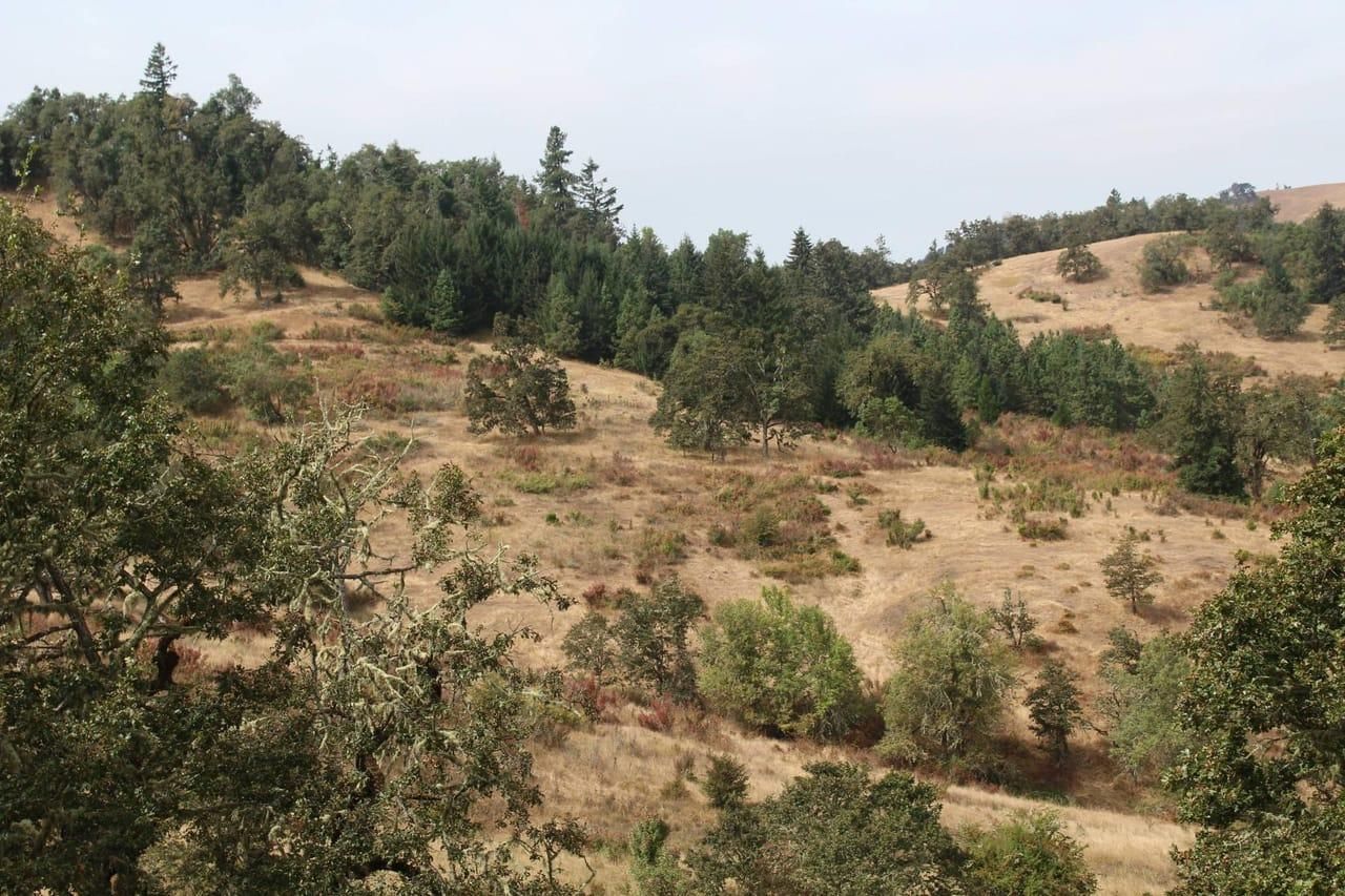 550 Acres, Sunshine Road, Roseburg, OR 97470 Land and Farm