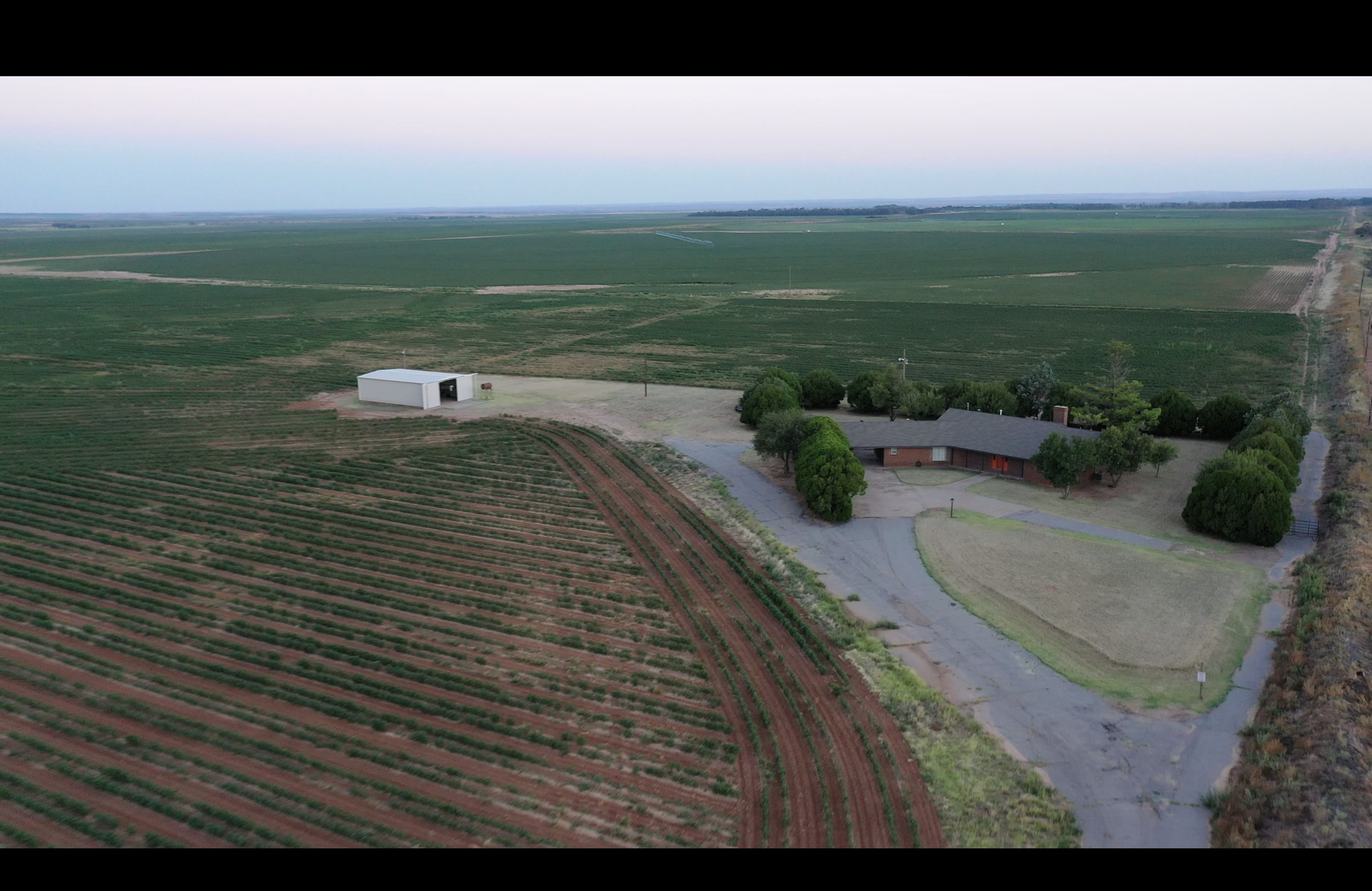 157 acres in Lakeview, TX, 79239 Land and Farm