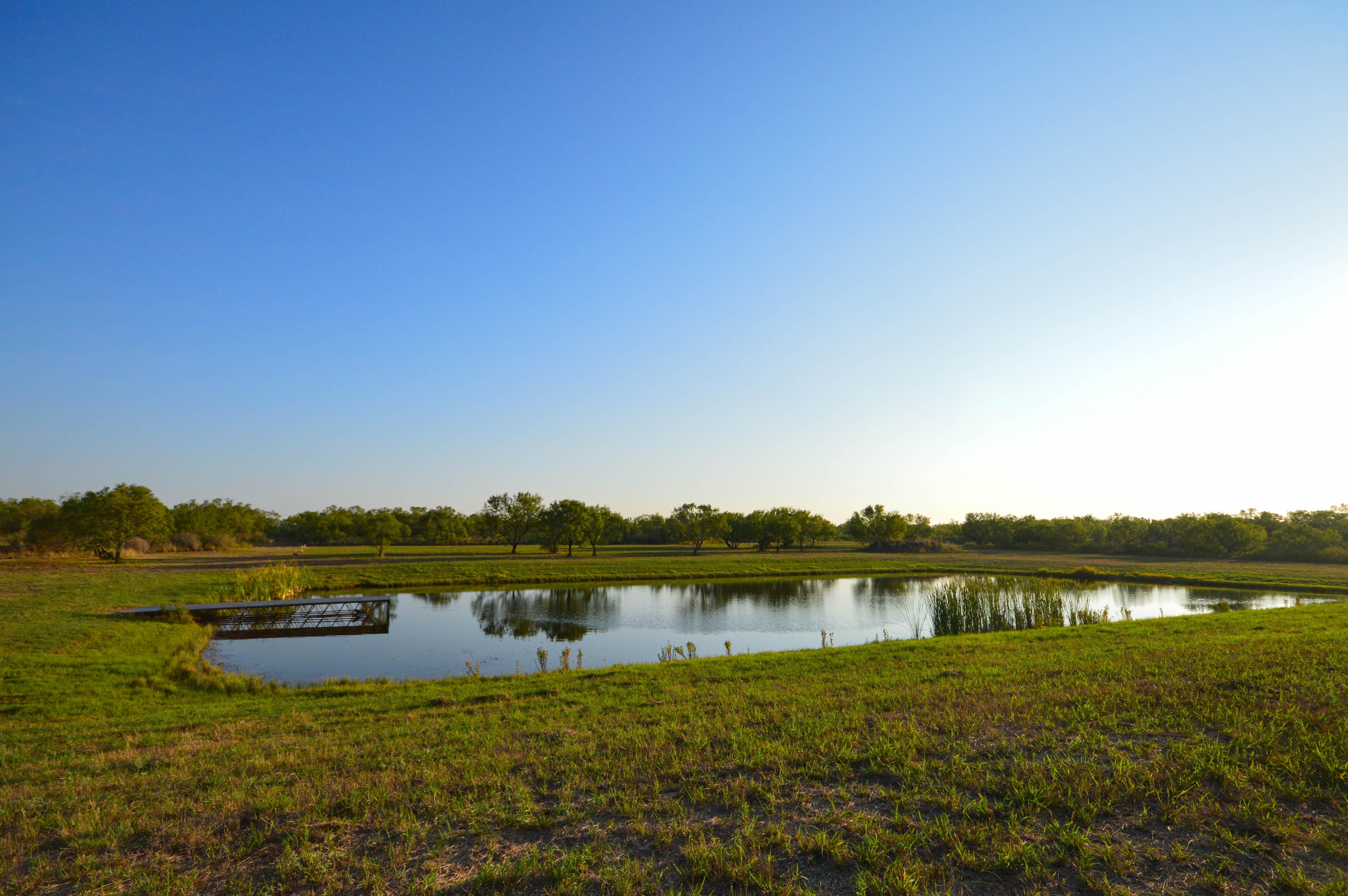 County Road 2743, Bigfoot, TX 78005 Land and Farm
