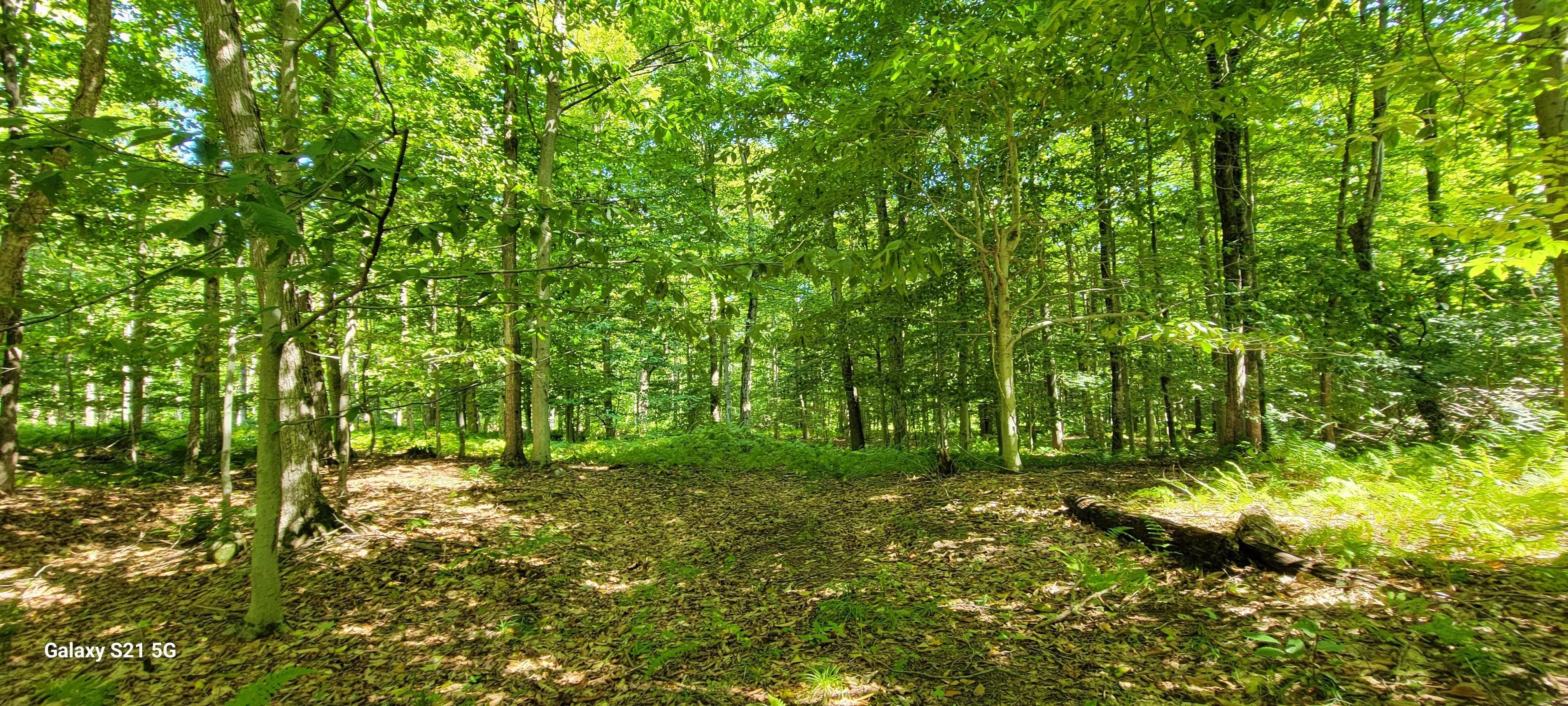 15 Acres, Sanford Rd, Martville, NY 13111 Land and Farm