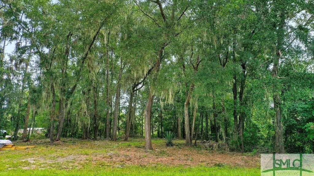 30 Sabal Drive, Richmond Hill, GA 31324 MLS 296416 Land and Farm