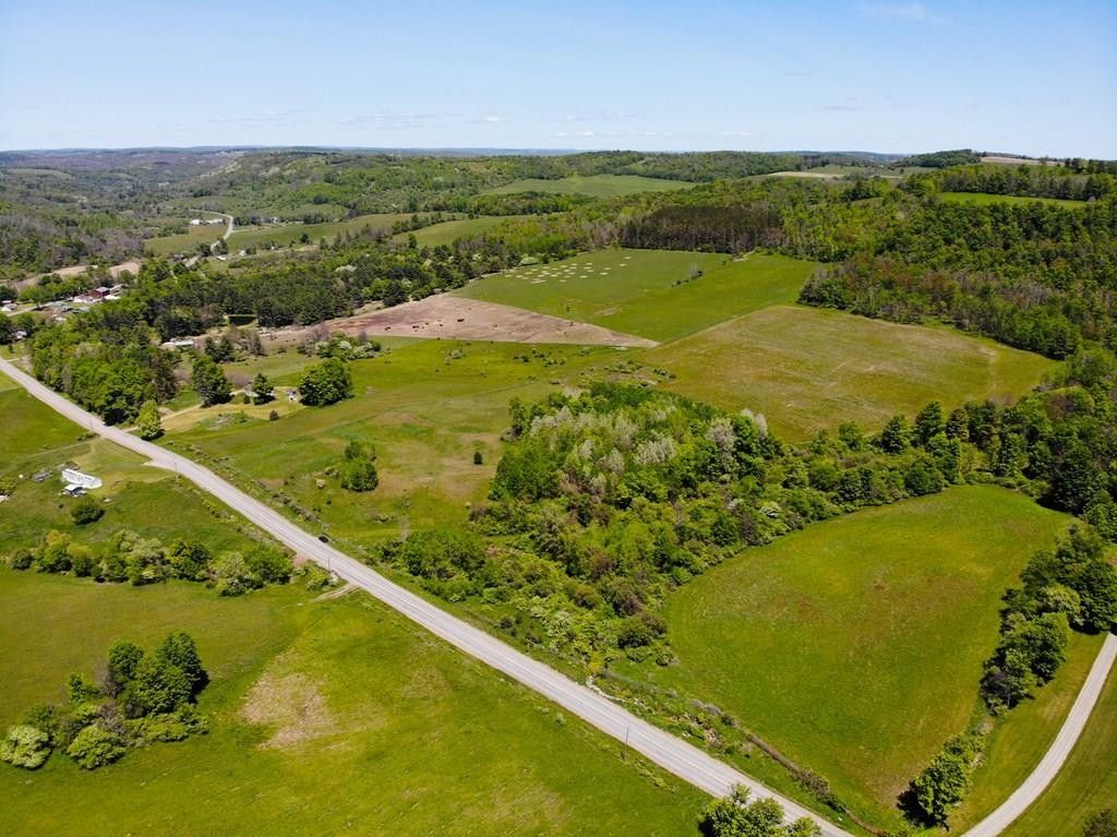 76.5 Acres, County Road 101, Woodhull, NY 14898 Land and Farm