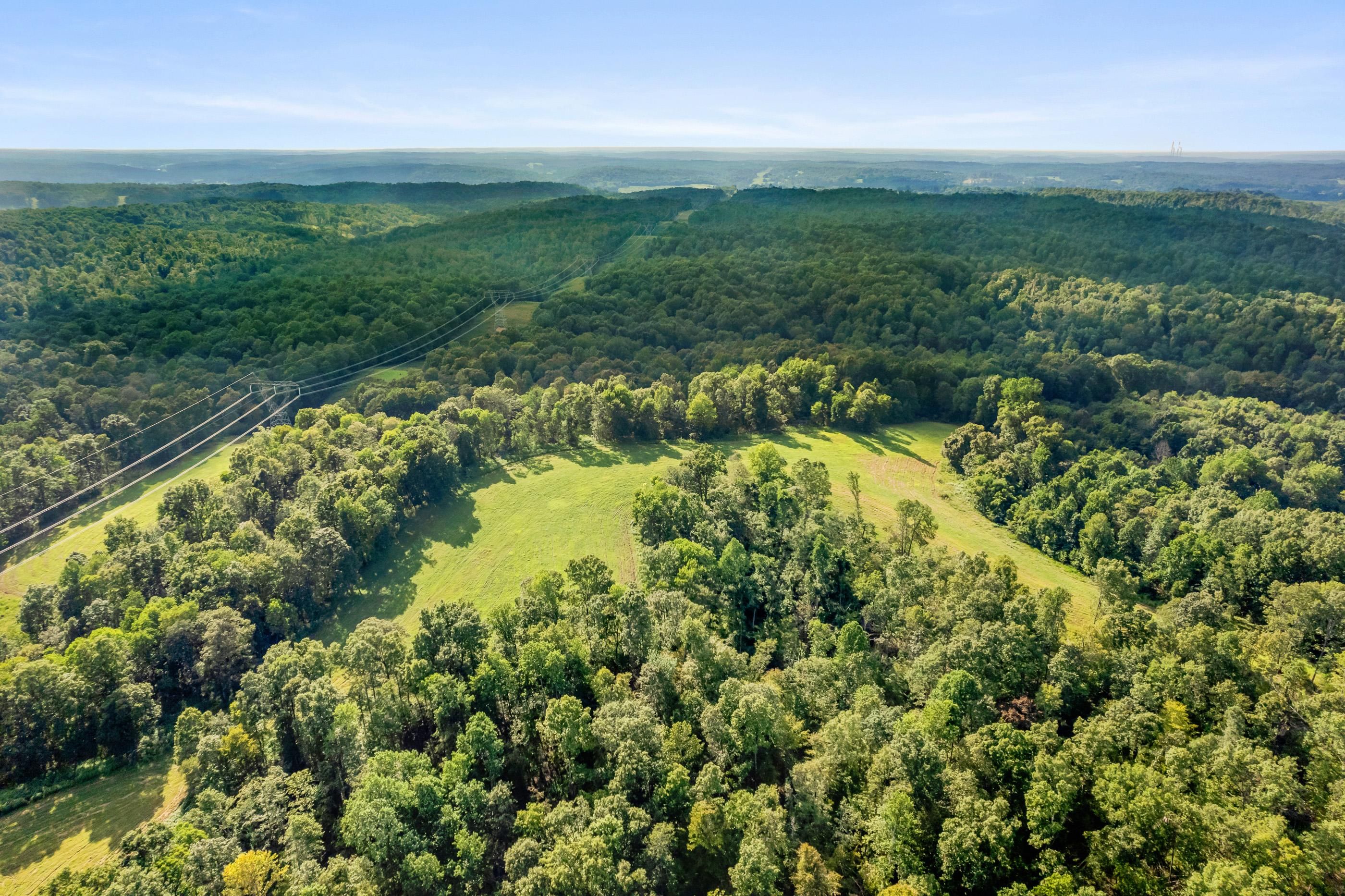 100 Acres, 776 Norris Hollow Road, Vanleer, TN 37181 Land and Farm