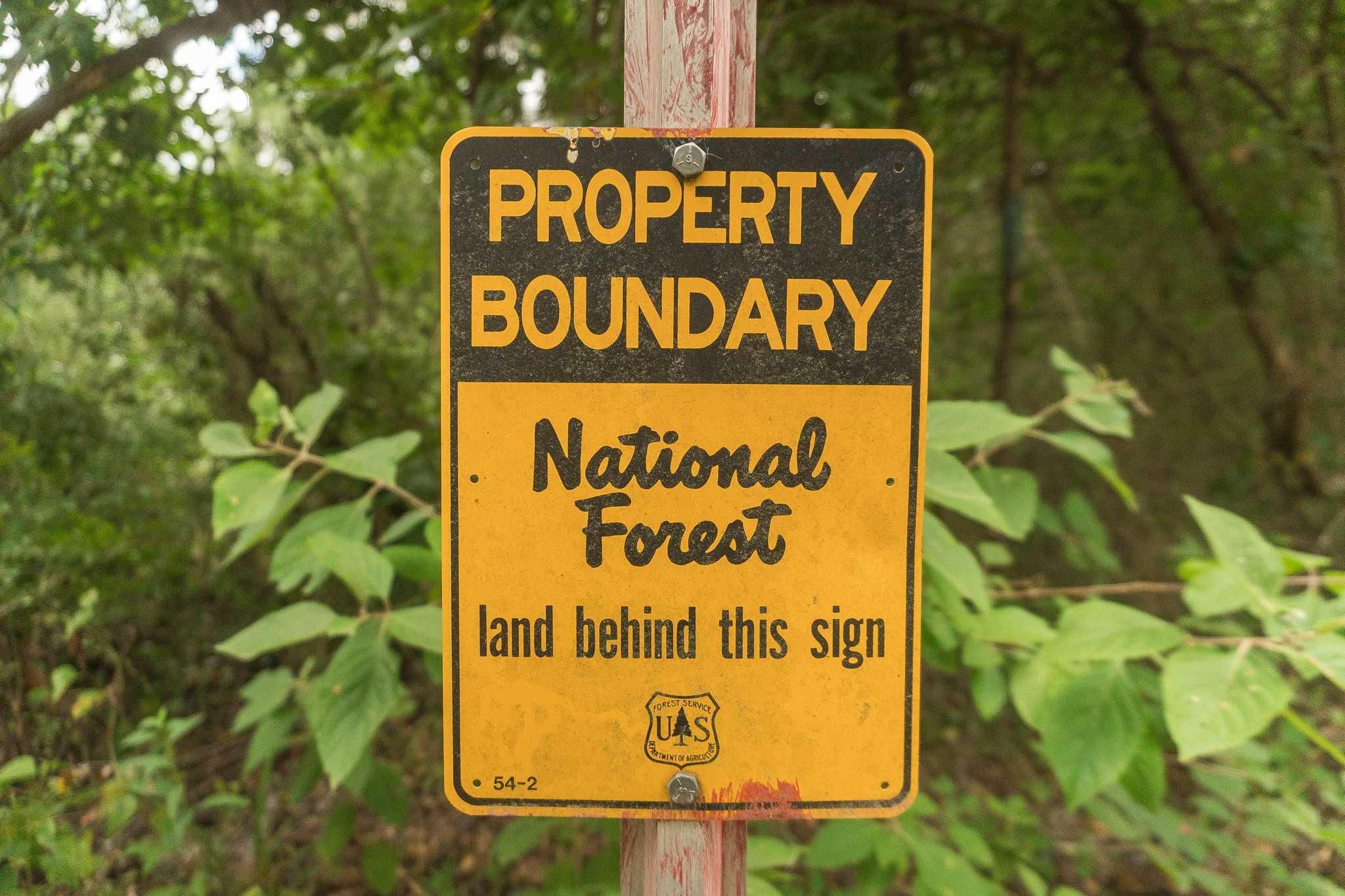 10.5 Acres, Forest Service Road 313, Zavalla, TX 75980 Land and Farm