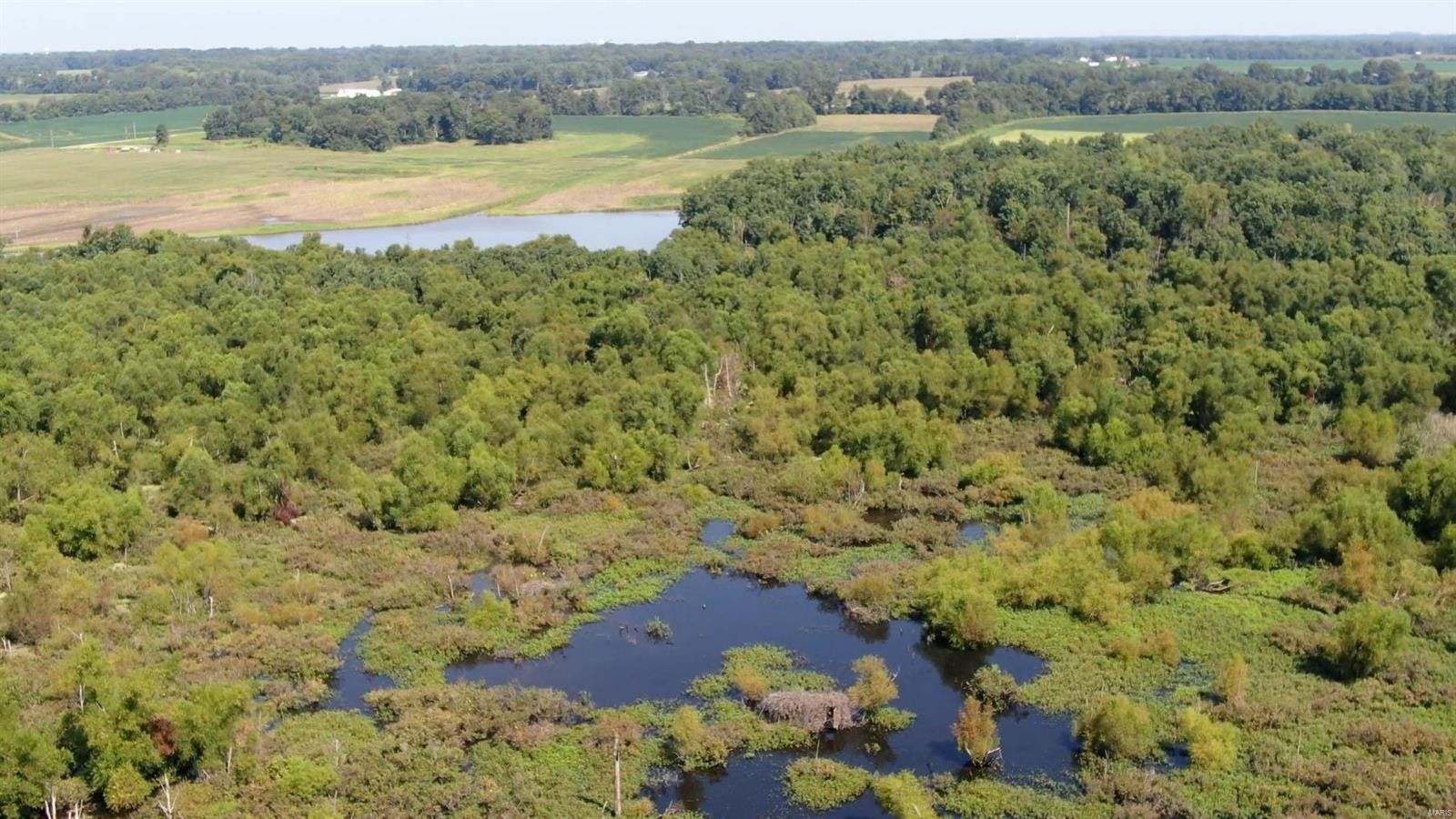 250 Acres, 0 Road Number 10, Benton, IL 62812 Land and Farm