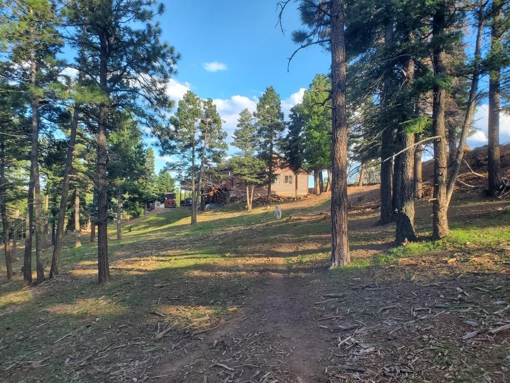 35 acres in Weston, CO, 81091 Land and Farm