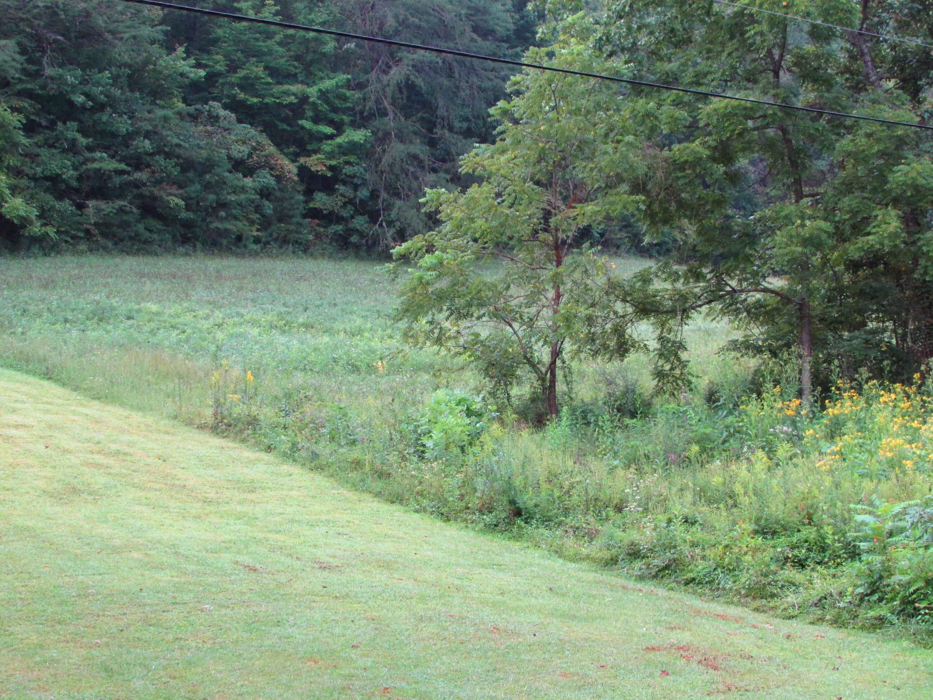 2.02 Acres, Tract 2 Minton Hollow Road, Elizabethton, TN 37643 Land