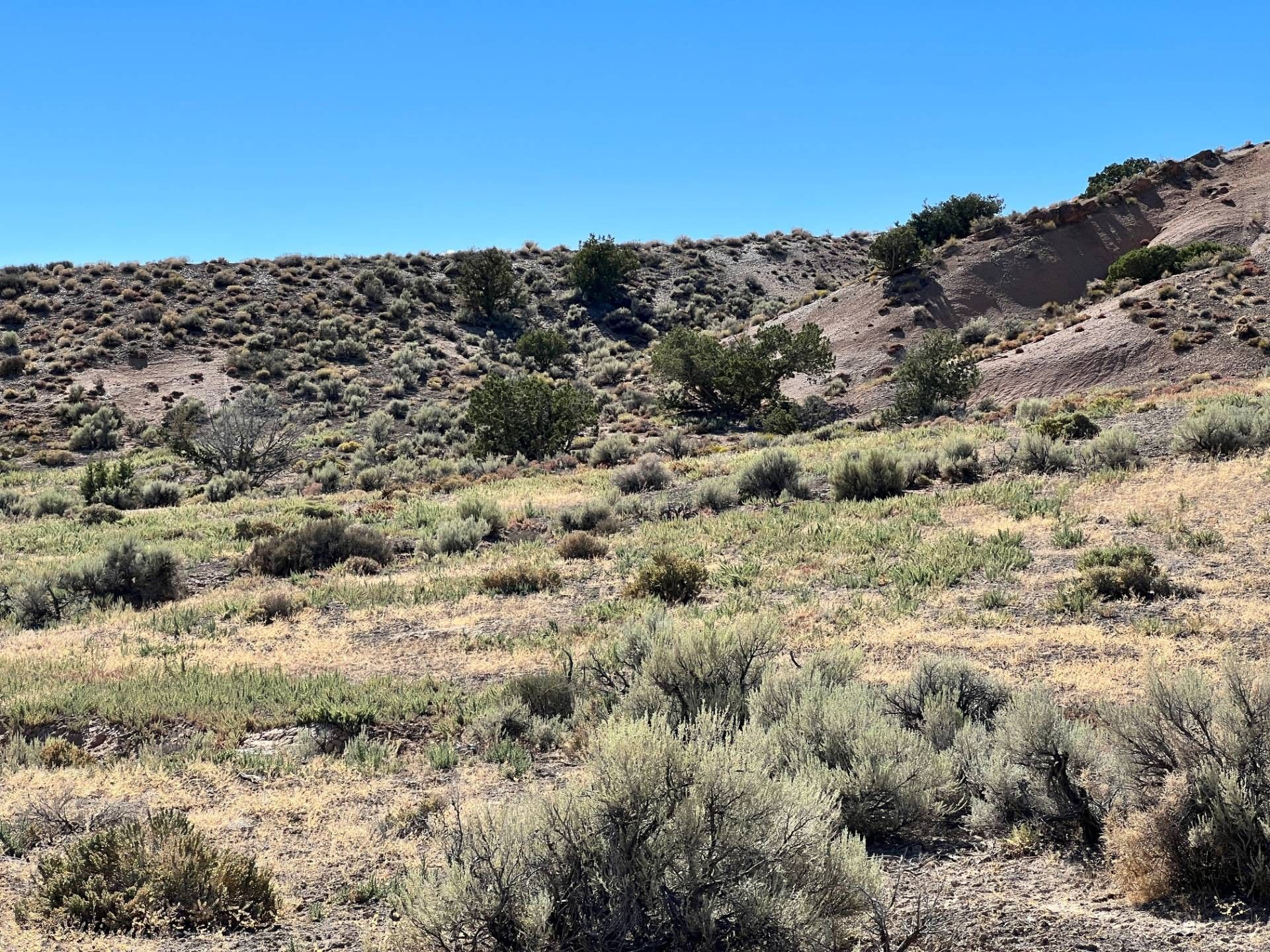 280 Acres, APN 01505019, Lovelock, NV 89419 Land and Farm