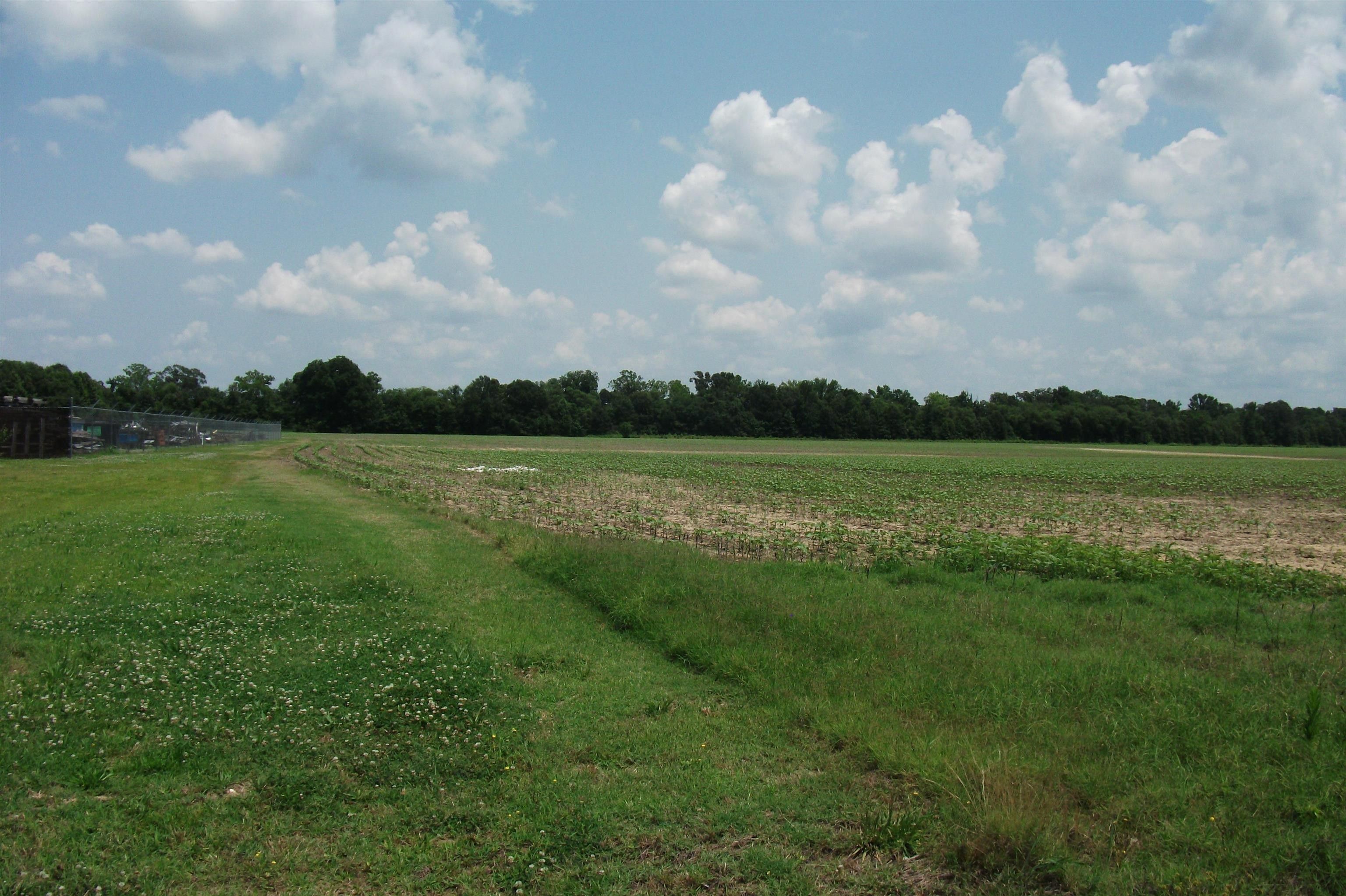 10 Acres, 0 HWY 196, Gallaway, TN 38036 Land and Farm