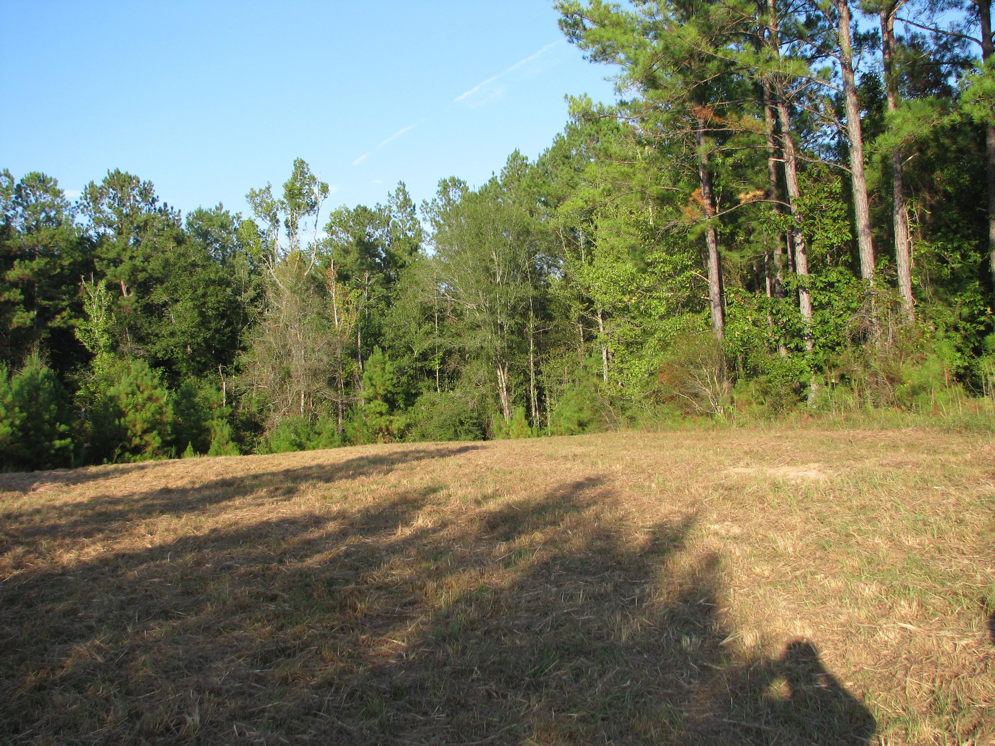 130 Acres, Uriah, AL 36480 Land and Farm