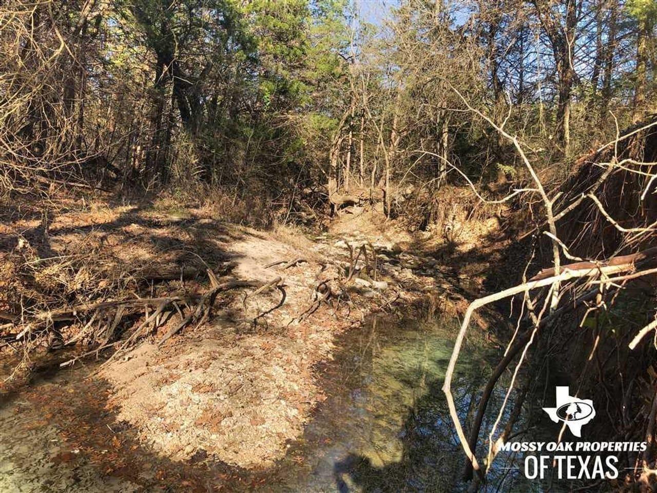 69.52 Acres, 5505 CR 411, Muenster, TX 76259 Land and Farm