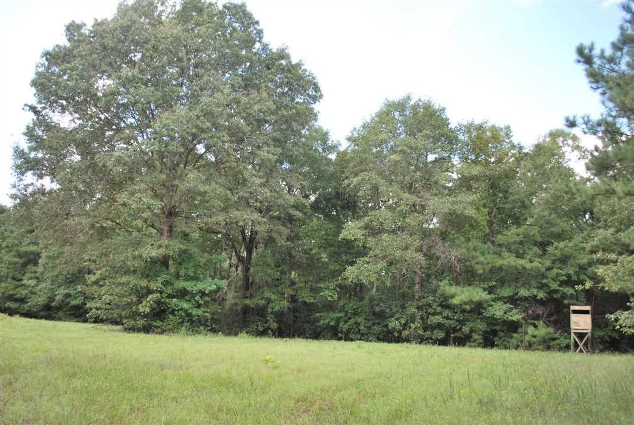 Highway 29, Tuskegee, AL 36083 Land and Farm