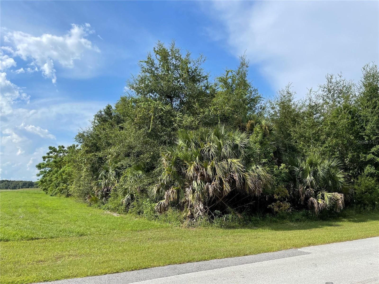 2 Acres, CASSADY STREET, Umatilla, FL 32784 Land and Farm