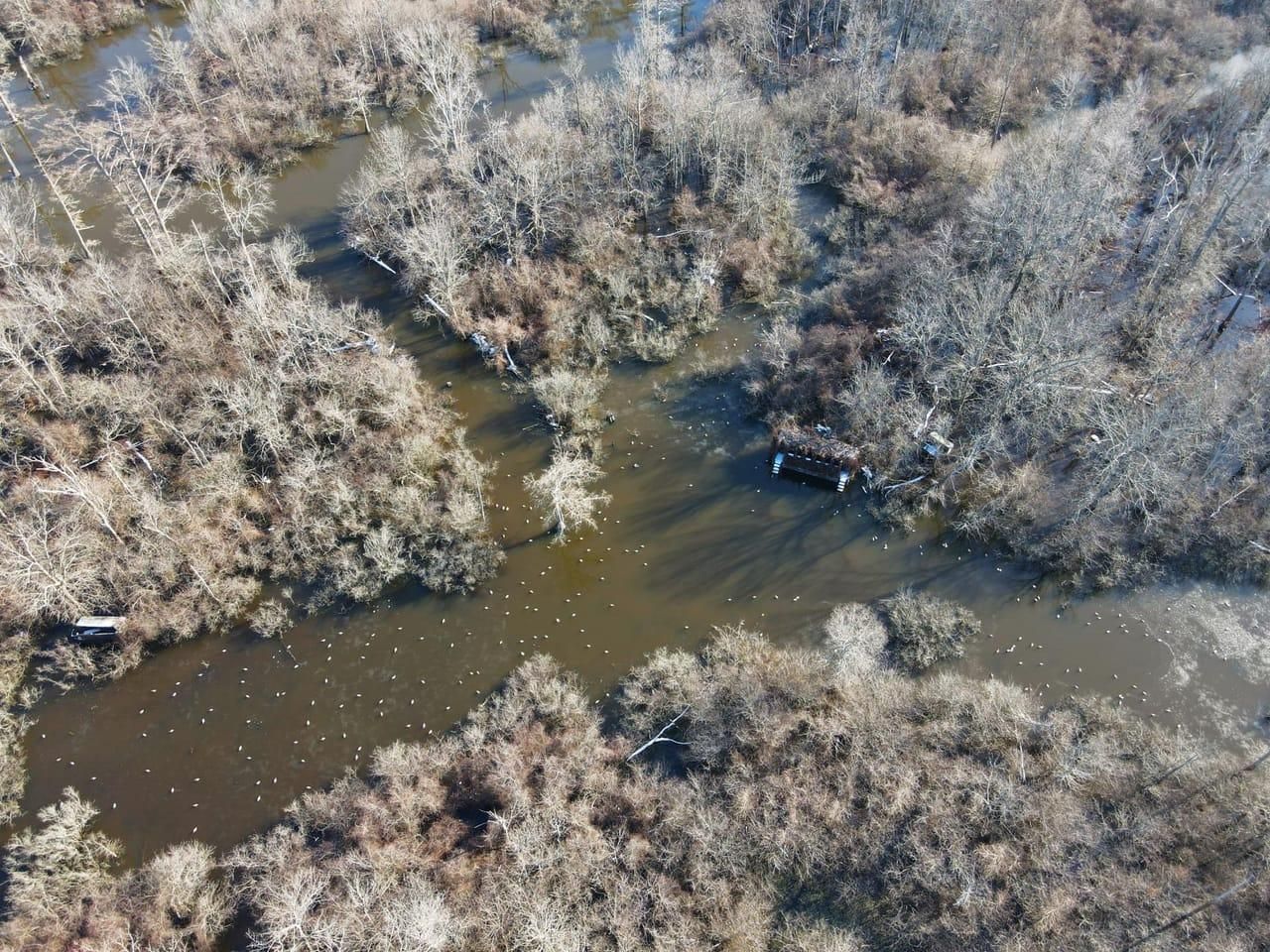 305 acres in Grubbs, AR, 72431 Land and Farm