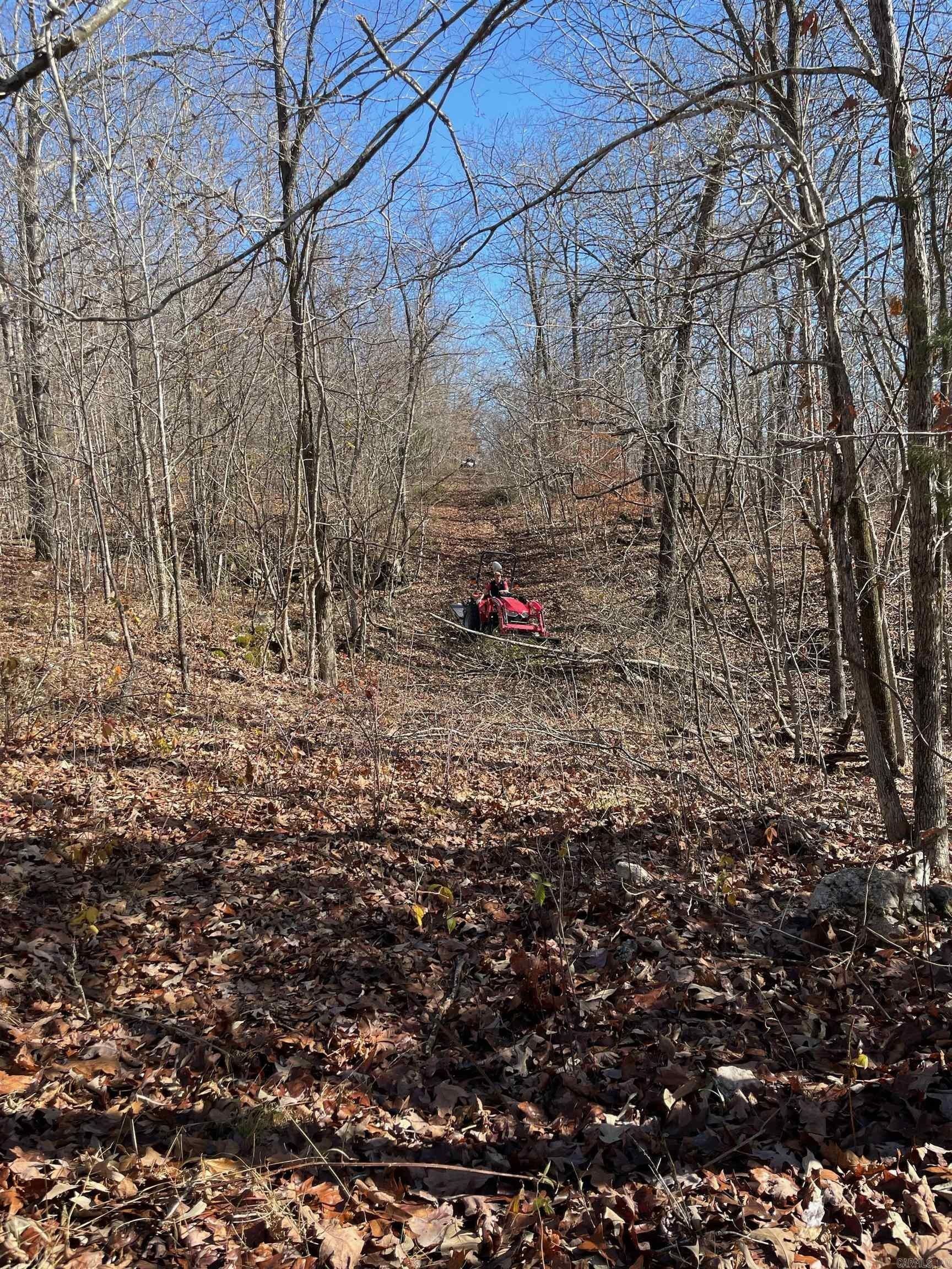 84 Acres, Martin Creek Road, Williford, AR 72482 Land and Farm