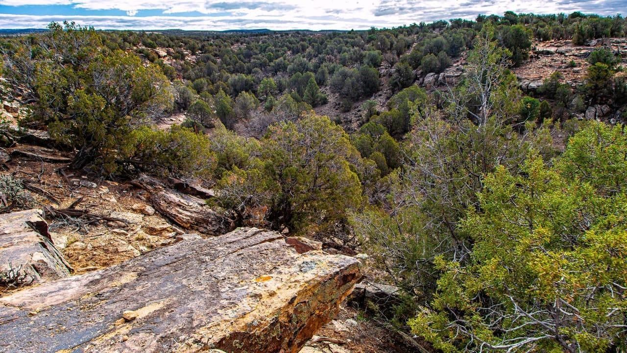 160 Acres, 24522 Z26 Road, Nucla, CO 81424 Land and Farm