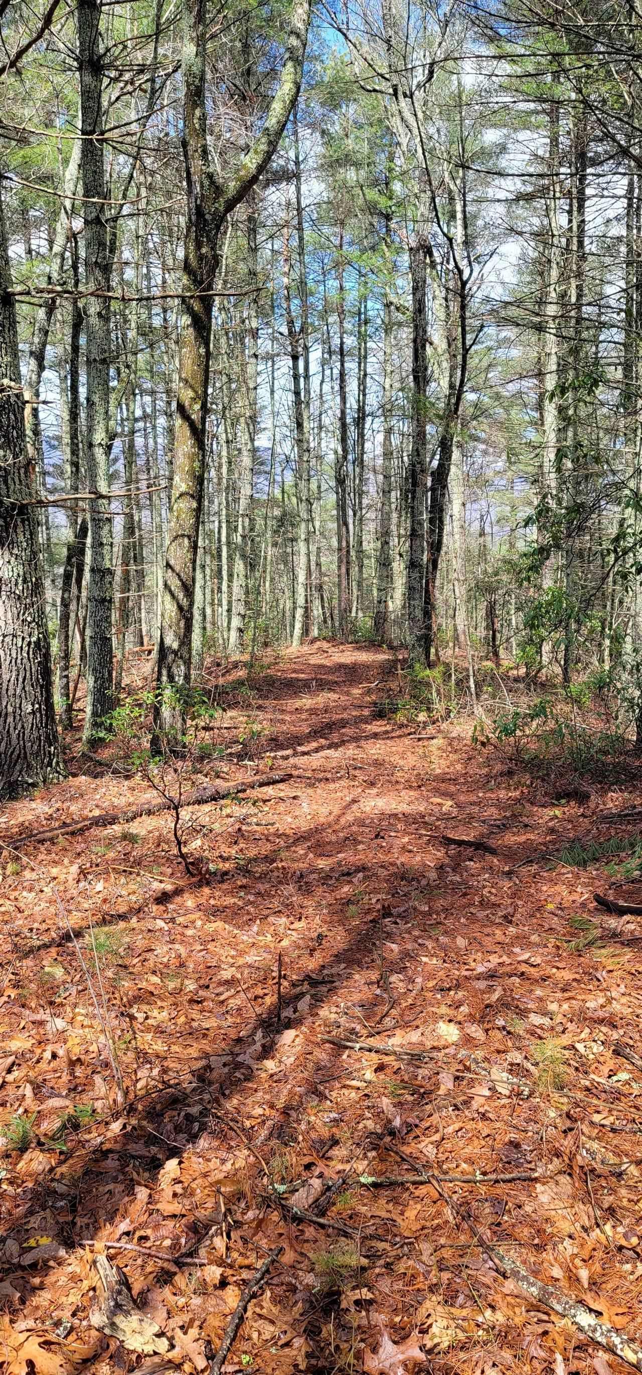 23300 Joe Brown Highway, Murphy, NC 28906 MLS 140310 Land and Farm