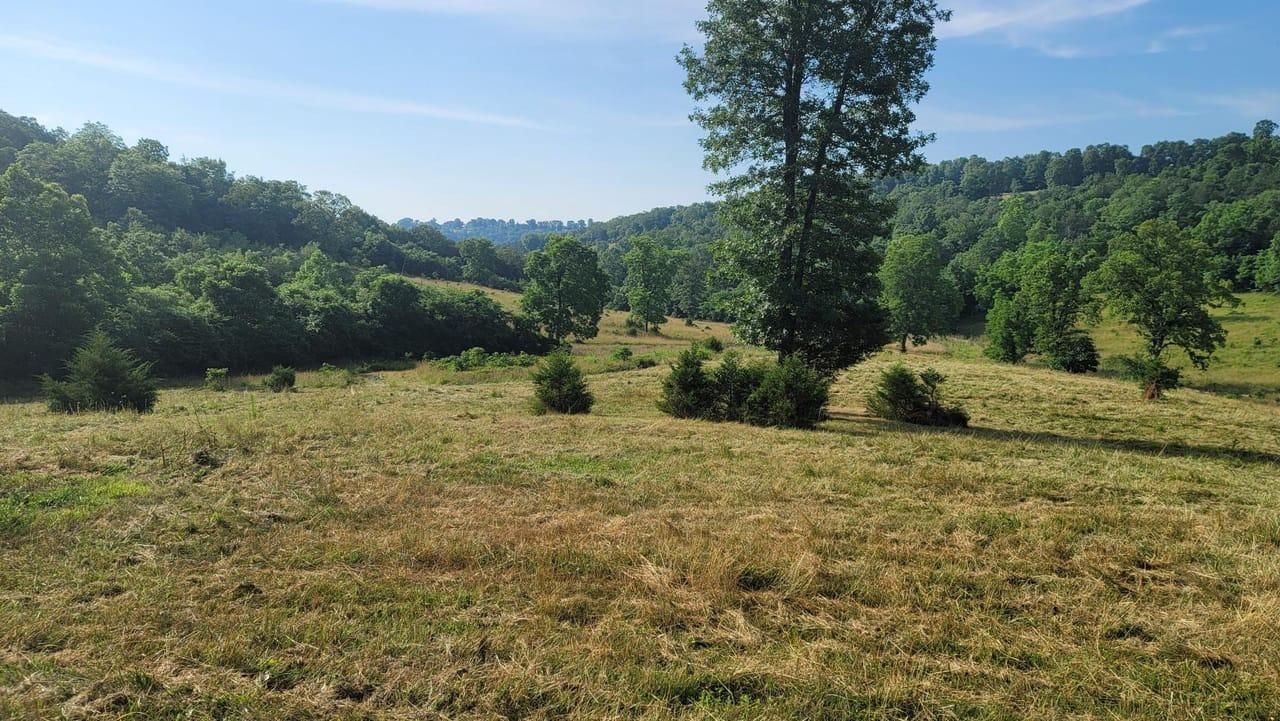 27 Acres, Lead Hill, AR 72644 Land and Farm