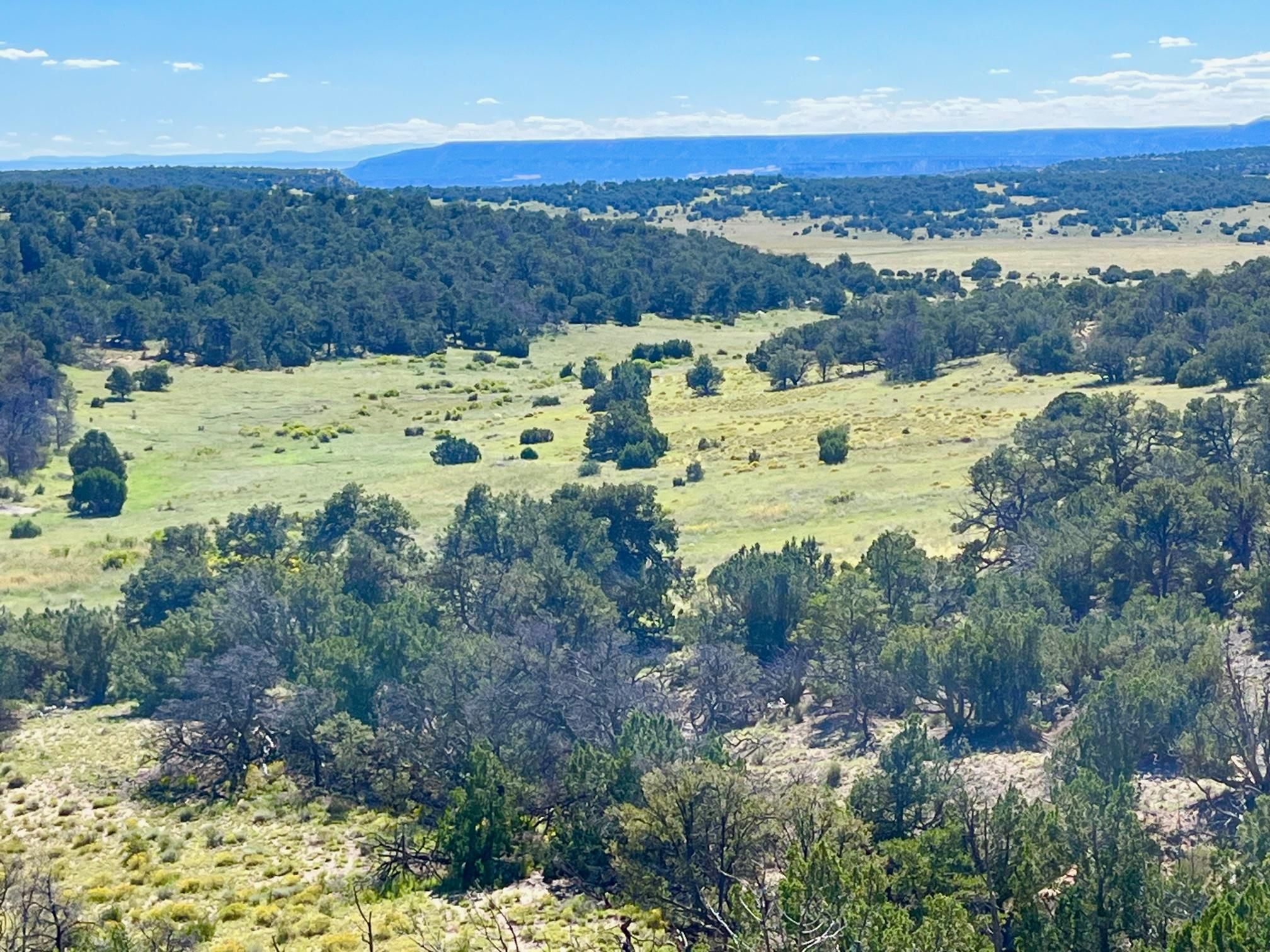 156.9 Acres, NM 36 Highway, Fence Lake, NM 87315 Land and Farm