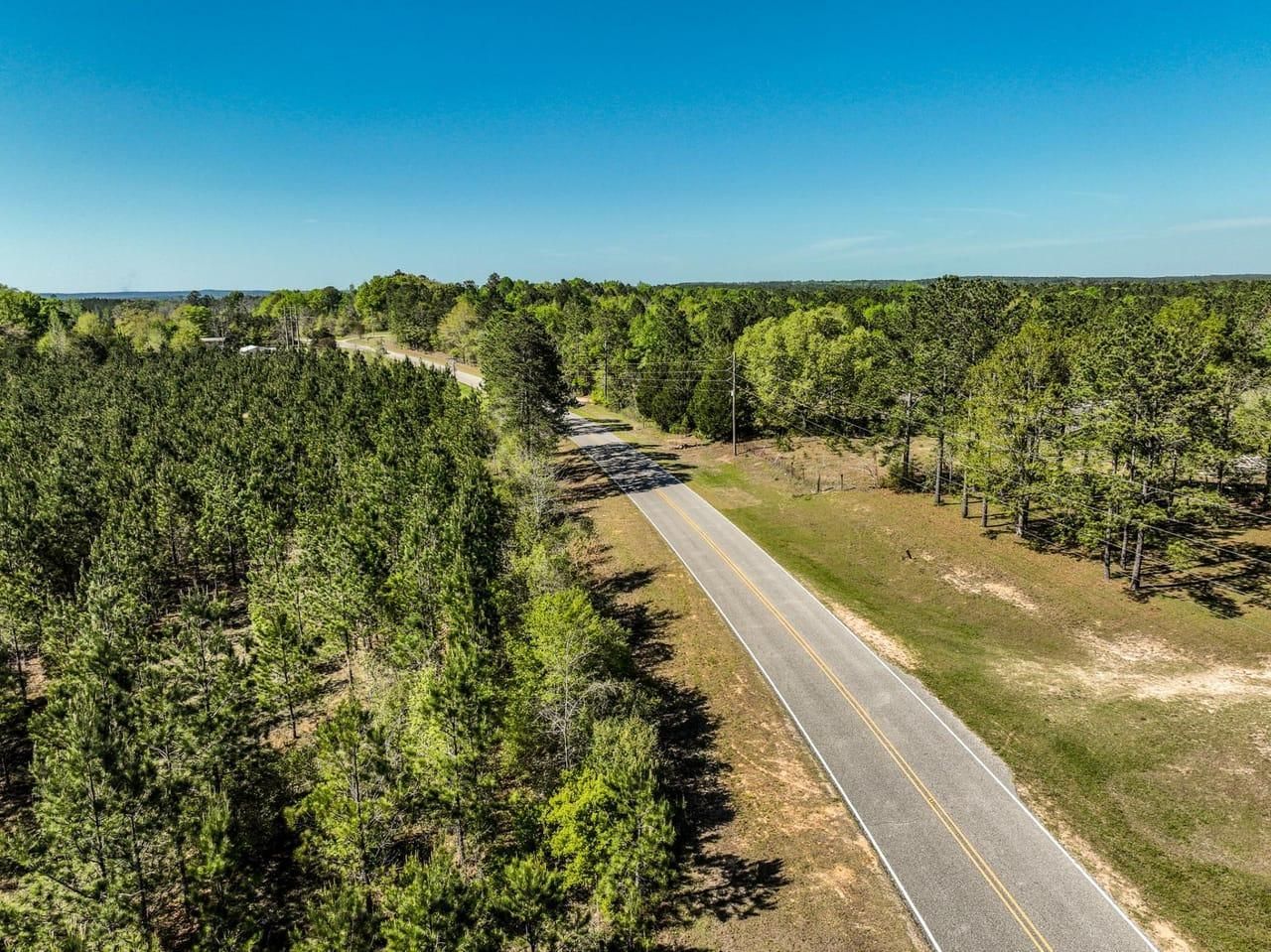 117 Acres, Elba, AL 36323 Land and Farm
