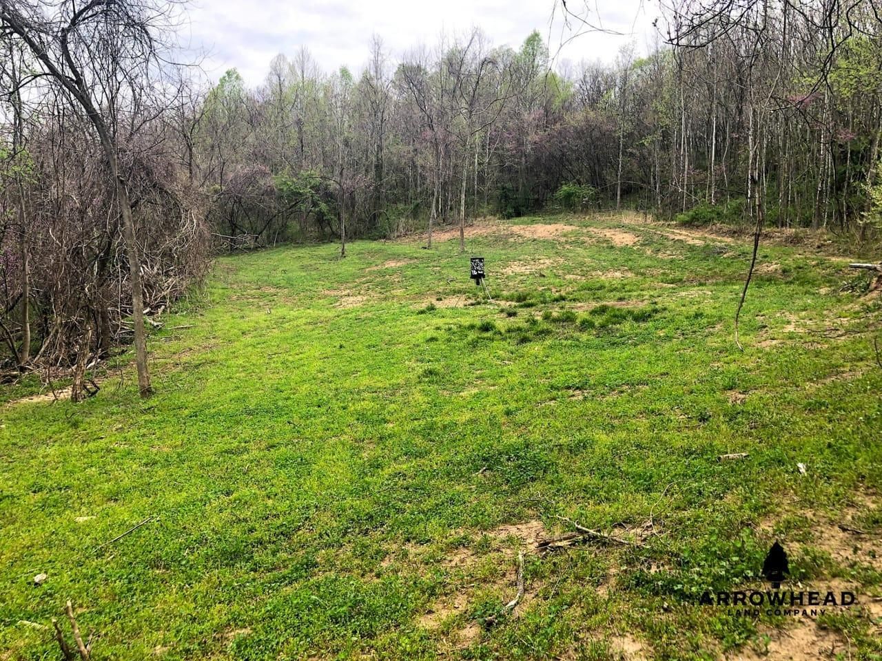 0 Clay Lick Rd, Patriot, OH 45658 Land and Farm