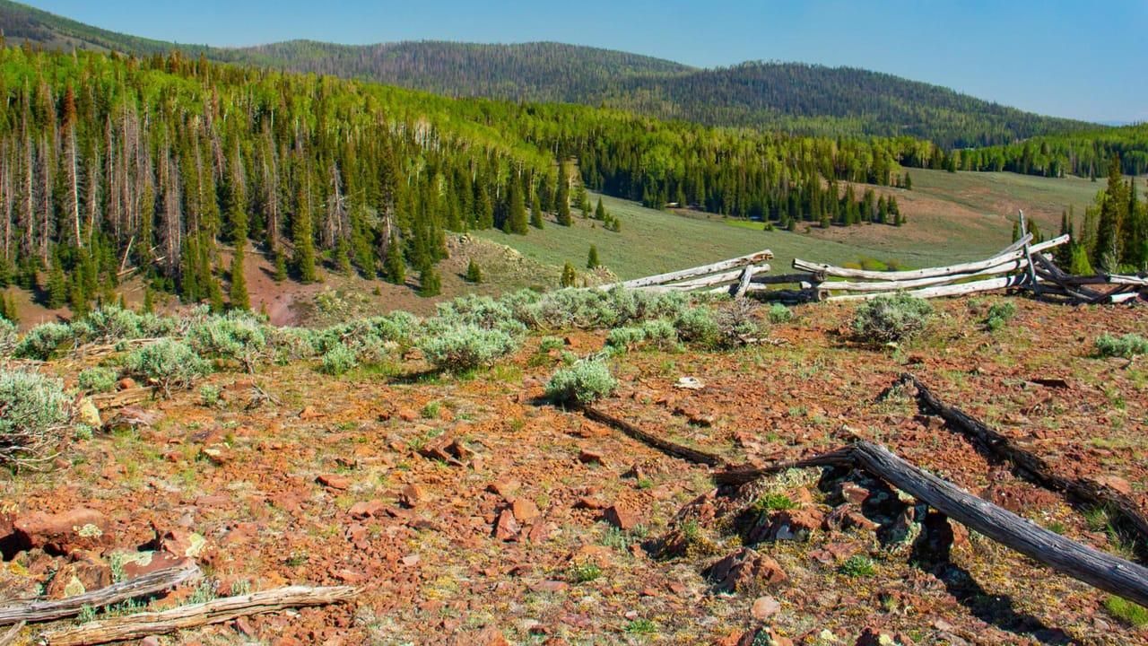 320 Acres, TBD (END OF Road) Koosharem, UT 84744, Koosharem, UT 84744